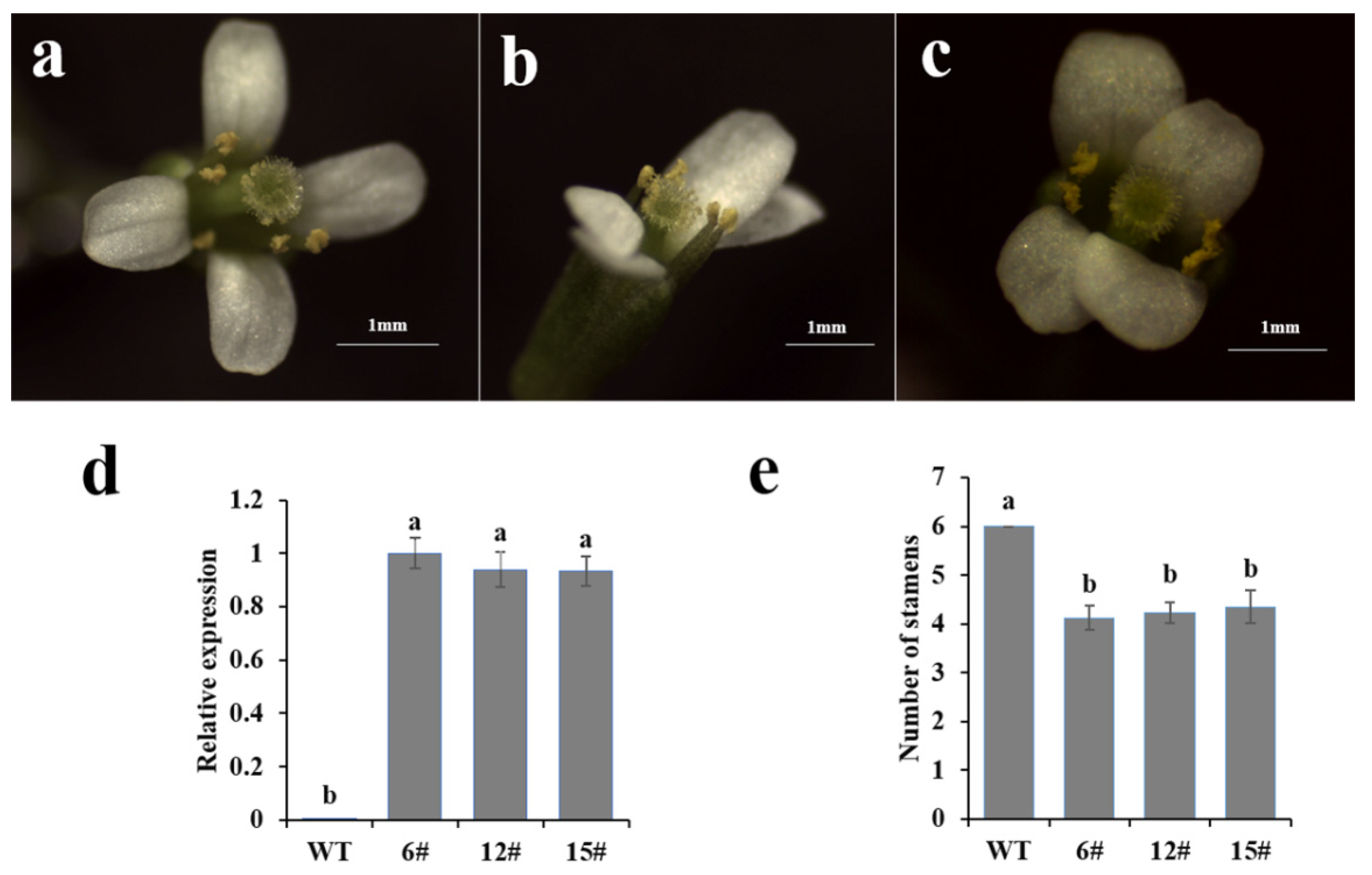 Genes 16 00152 g003 Genes 16 00152 g003