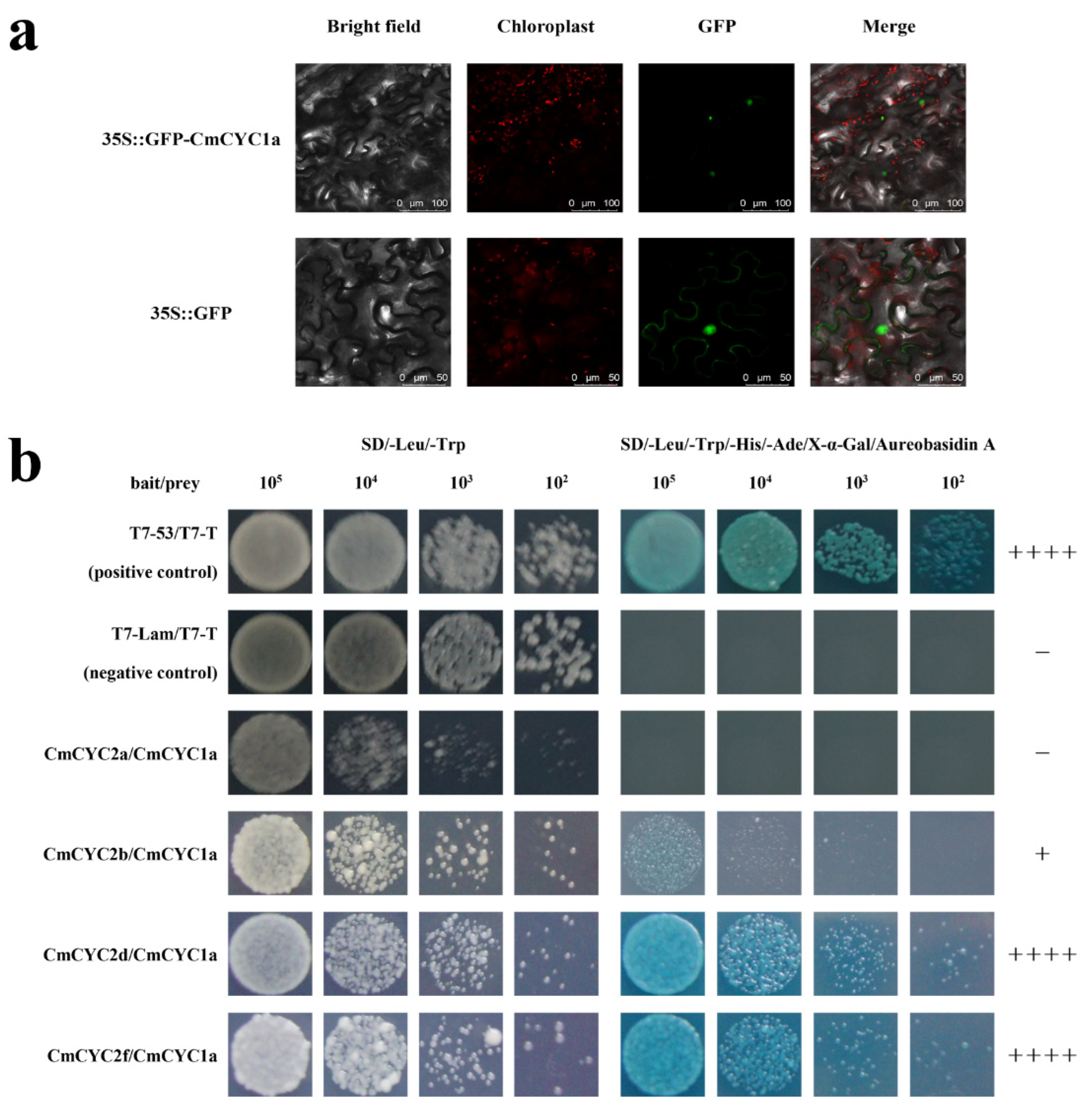 Genes 16 00152 g004 Genes 16 00152 g004