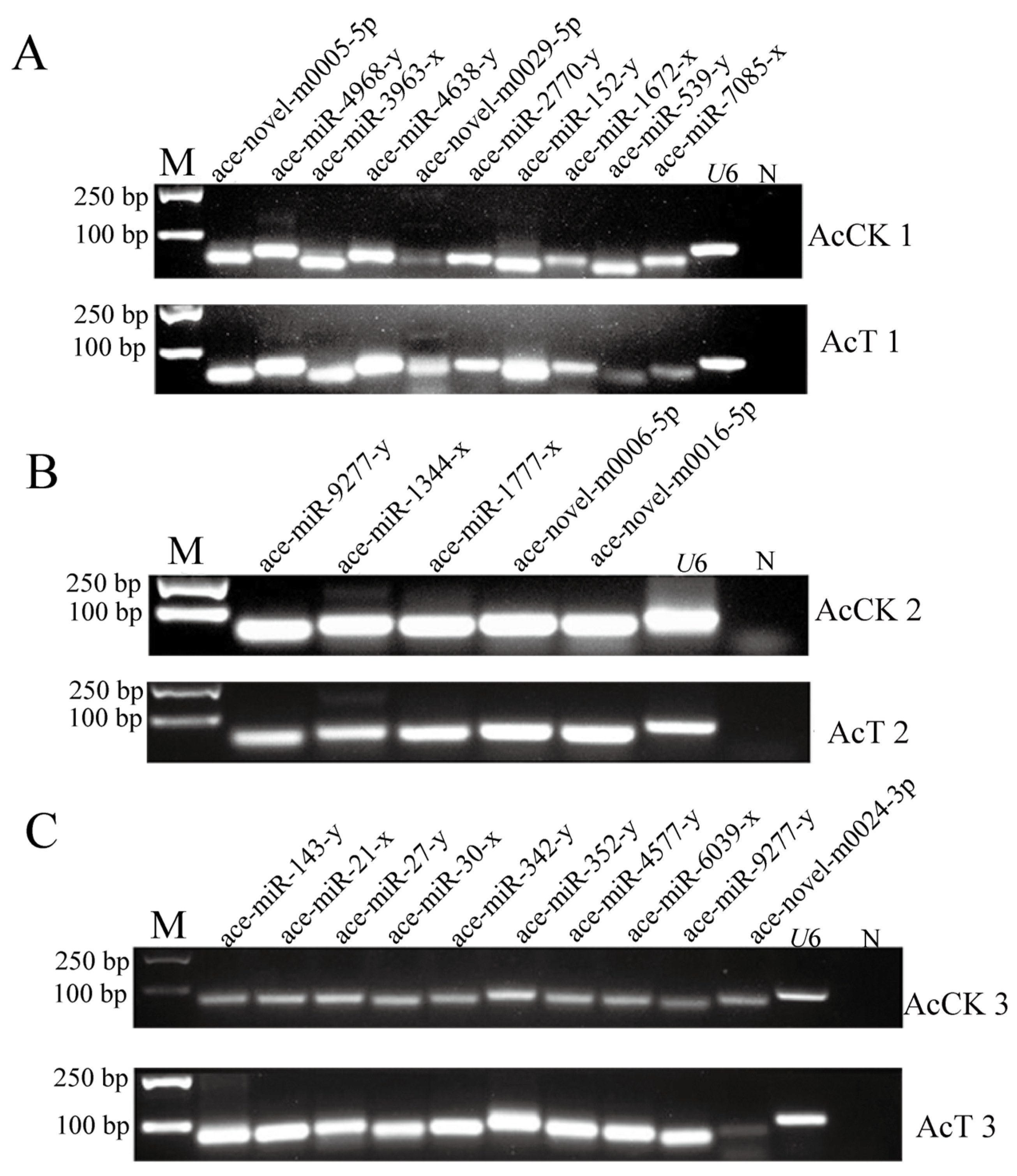 Genes 16 00156 g005 Genes 16 00156 g005