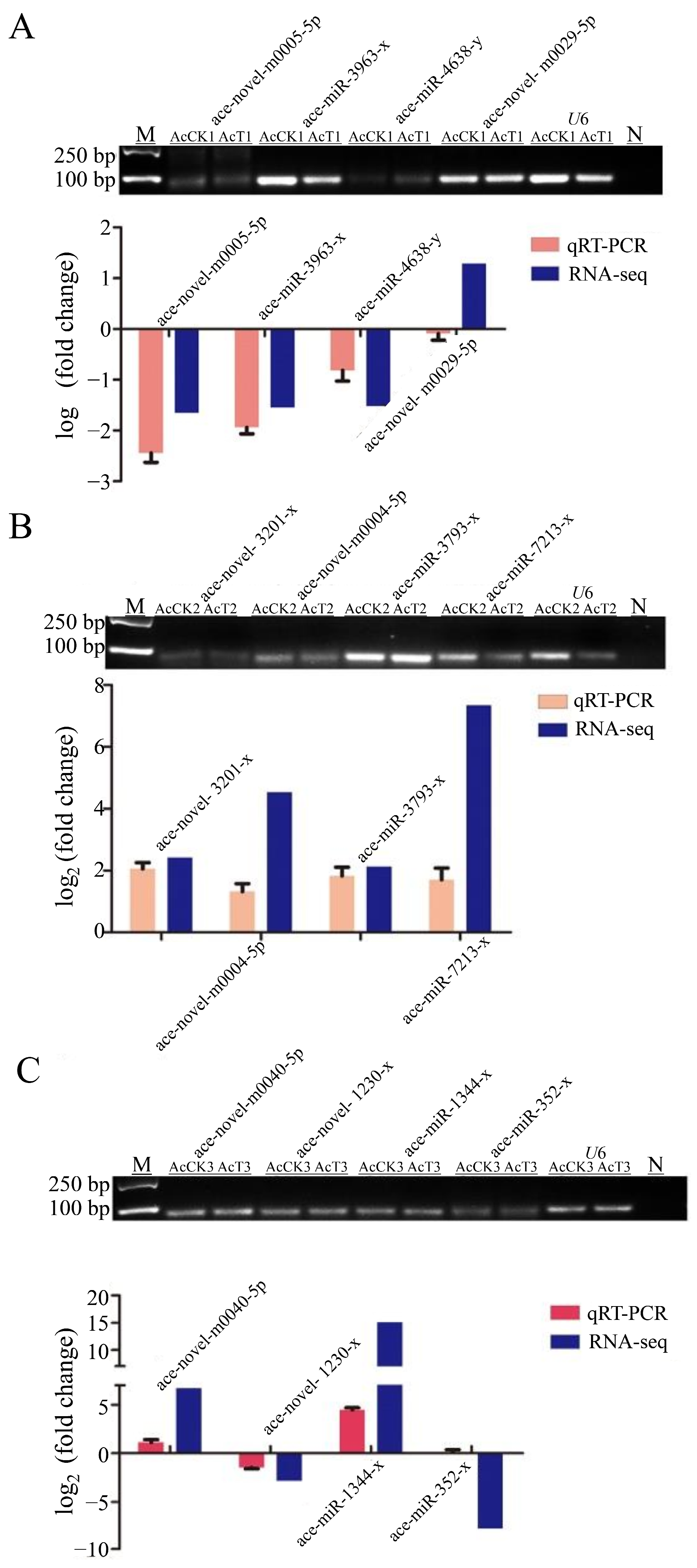 Genes 16 00156 g006 Genes 16 00156 g006