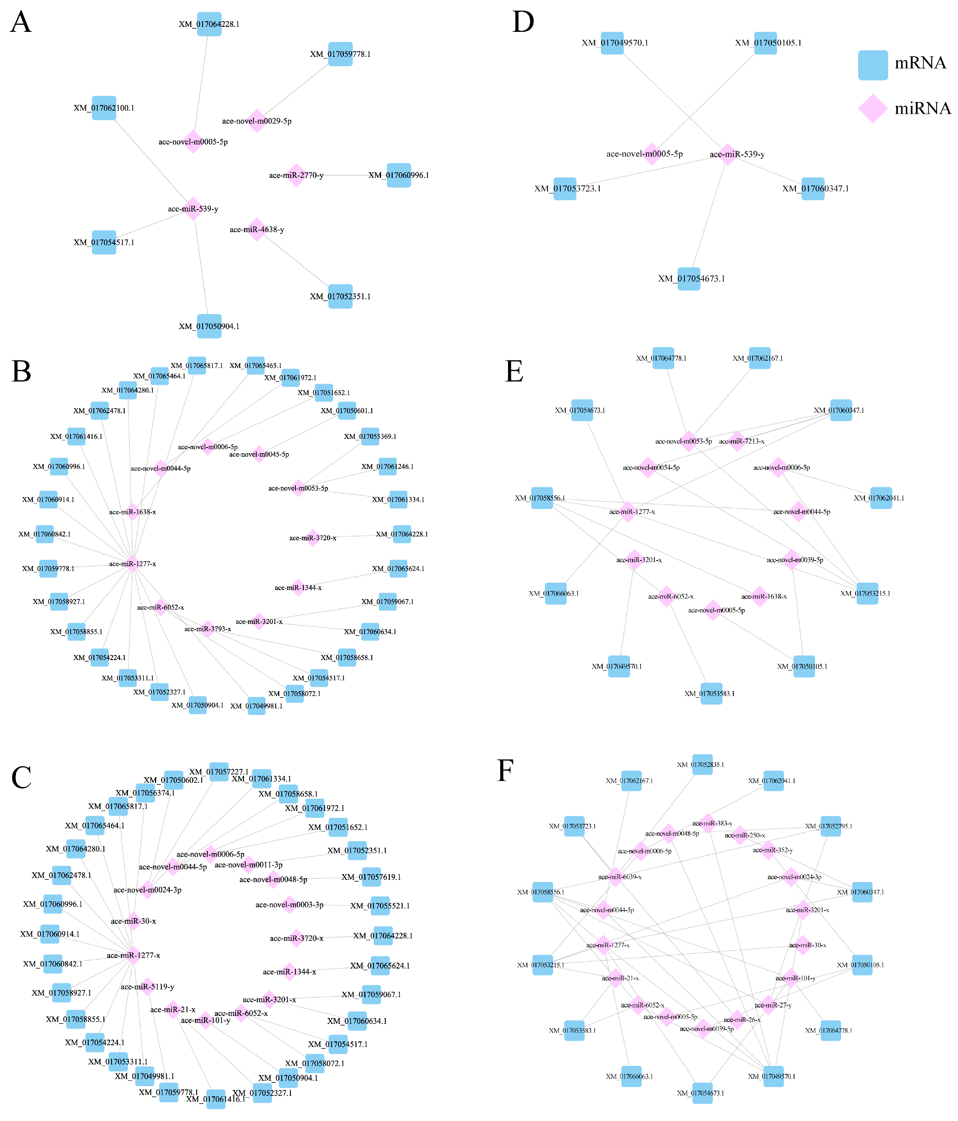 Genes 16 00156 g008 Genes 16 00156 g008