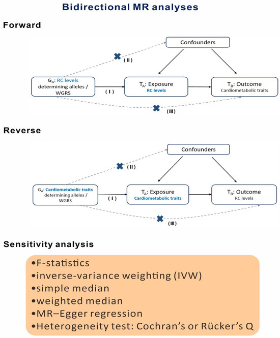 Causal Associations Between Remnant Cholesterol Levels and