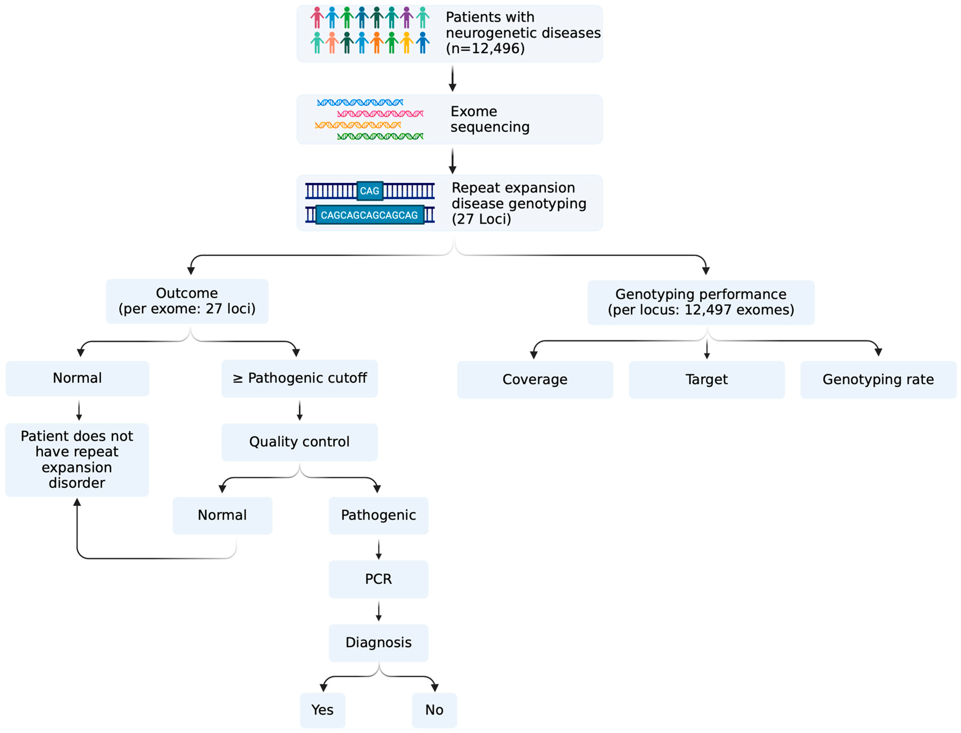 Genes 16 00169 g001