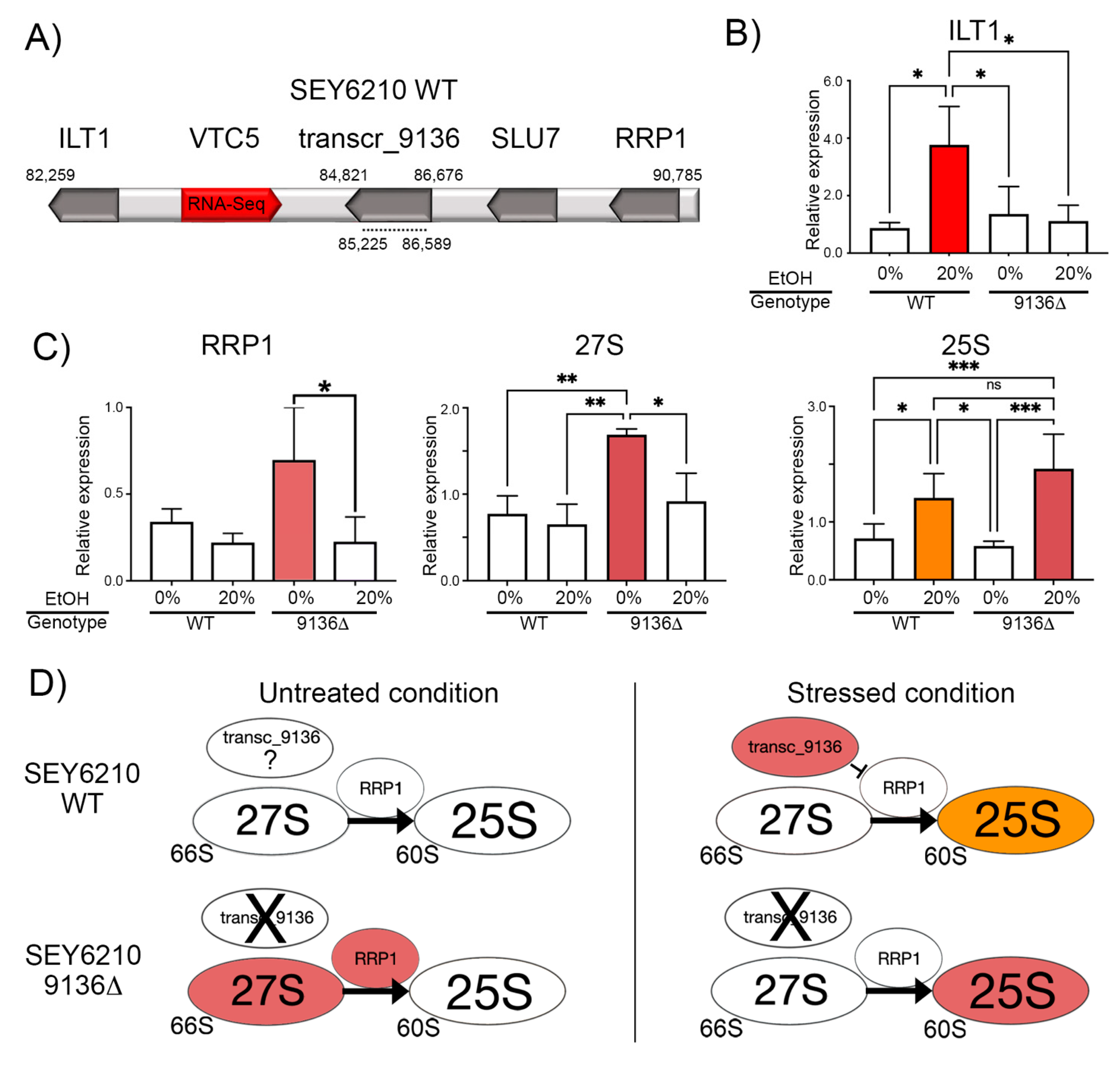 Genes 16 00170 g001