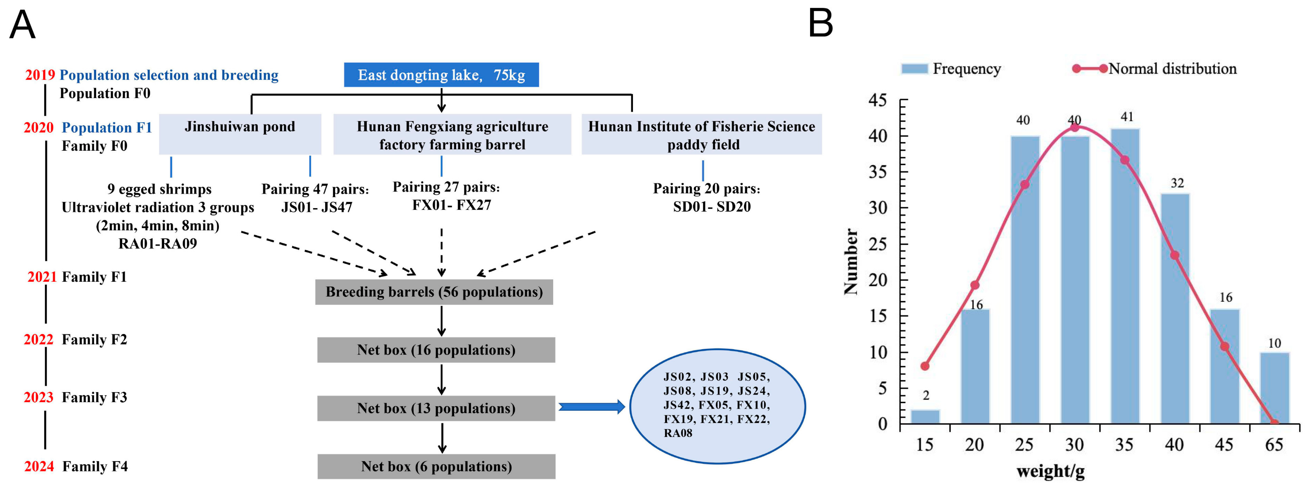 Genes 16 00174 g002