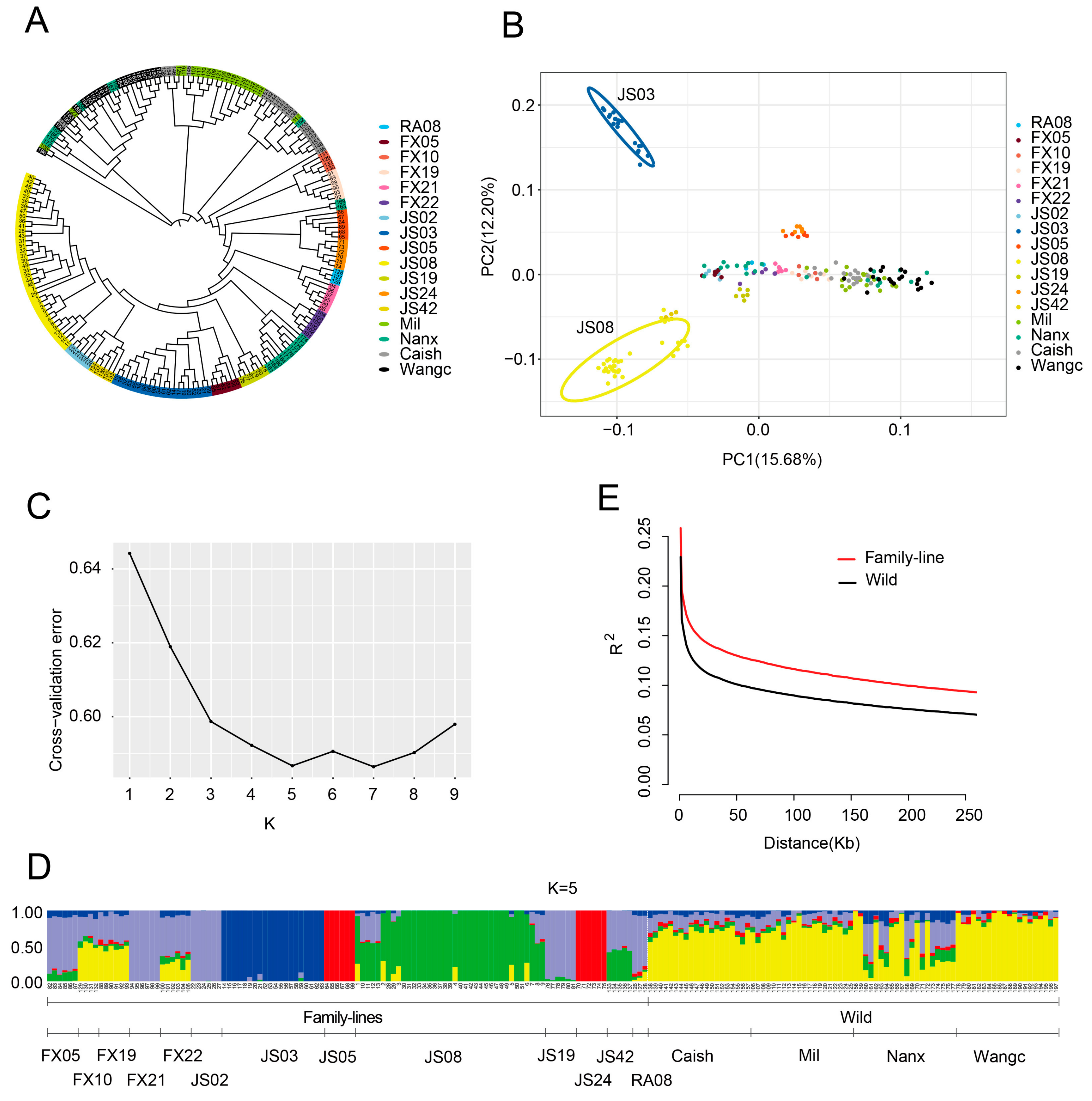 Genes 16 00174 g003