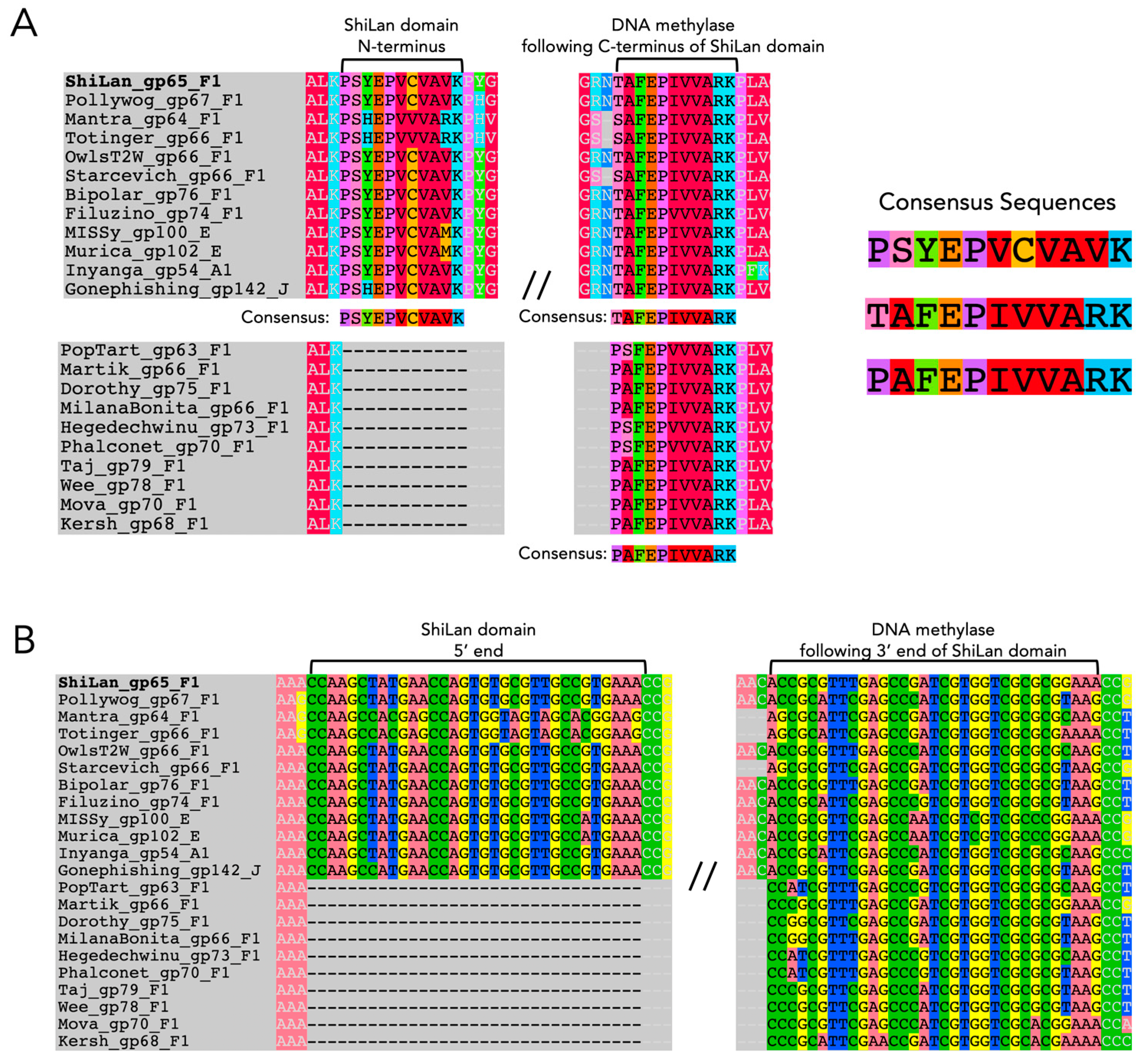 Genes 16 00178 g001
