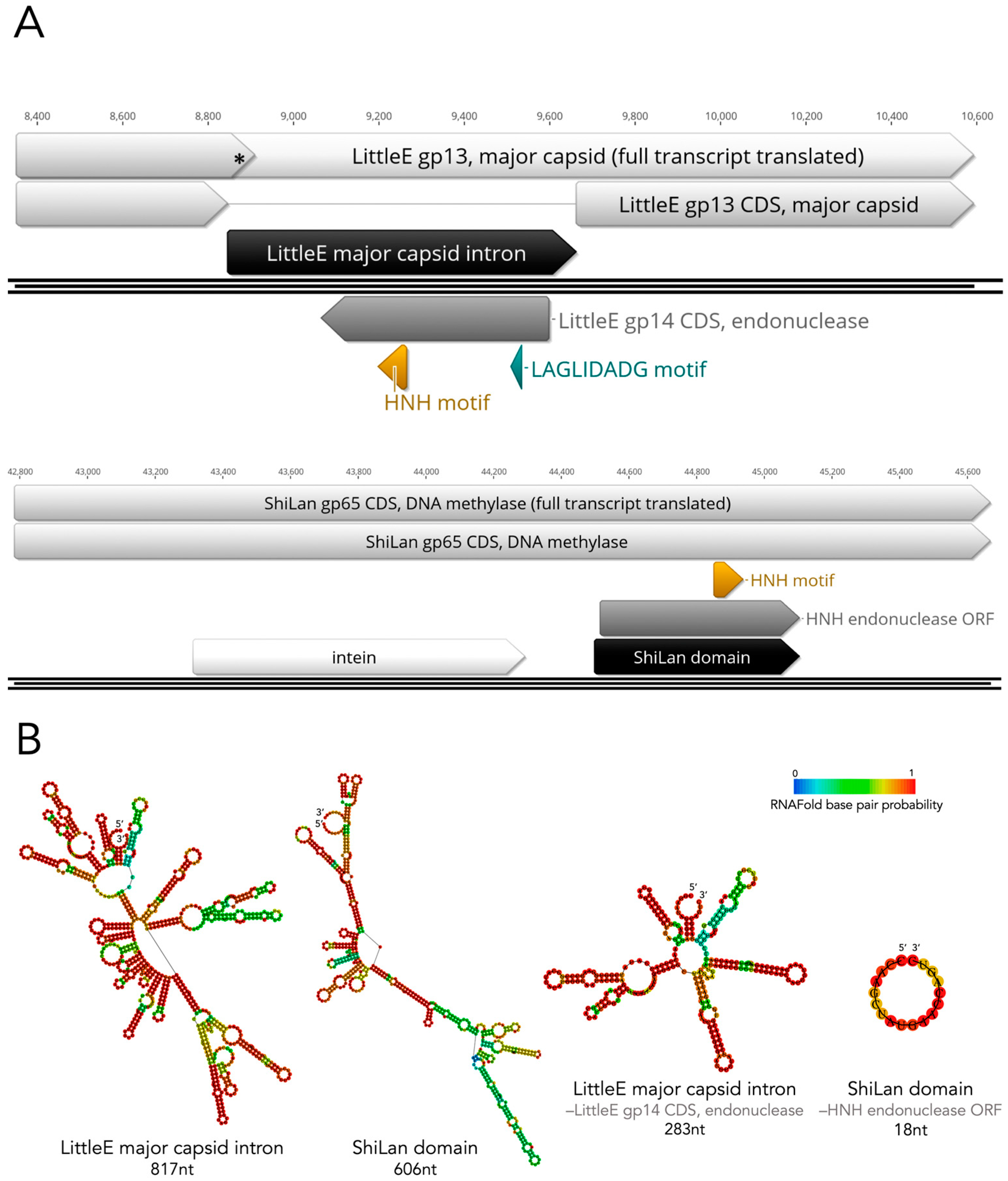 Genes 16 00178 g004