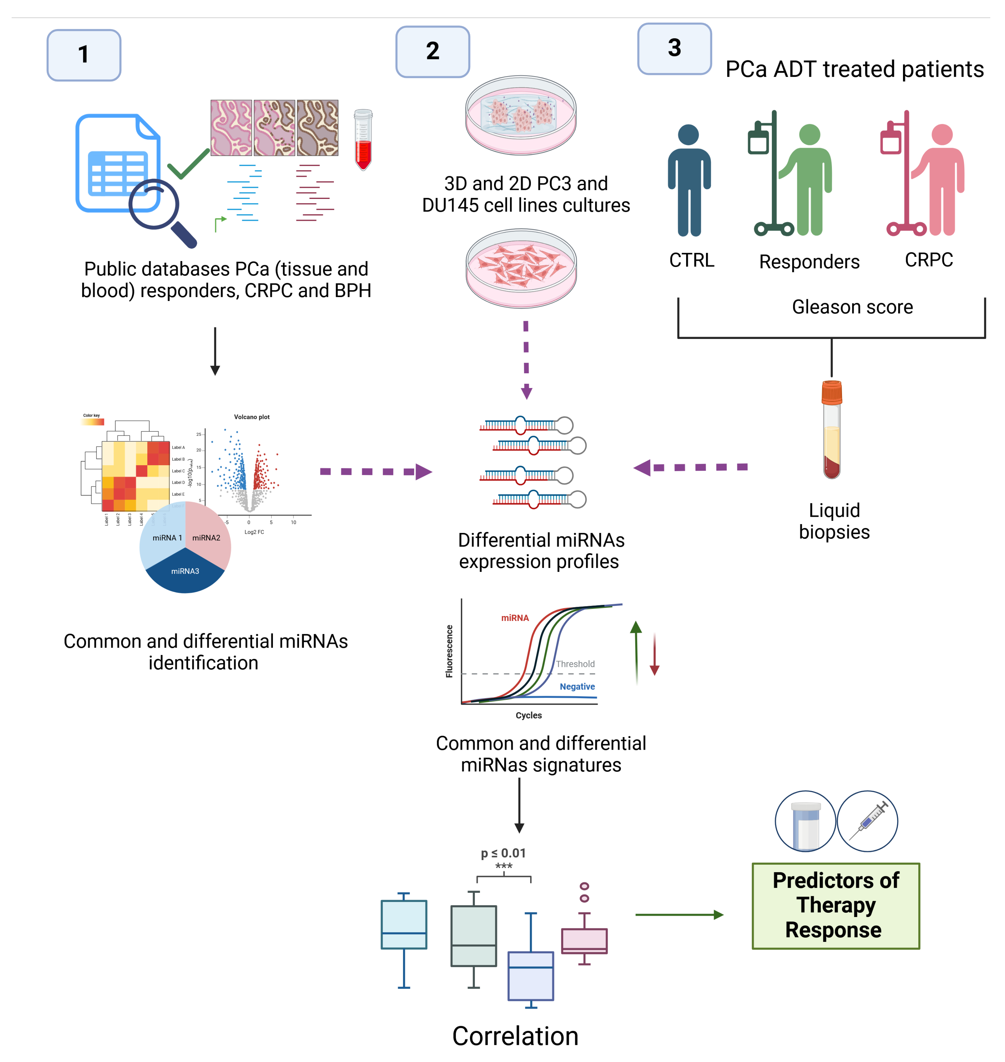 Genes 16 00180 g001