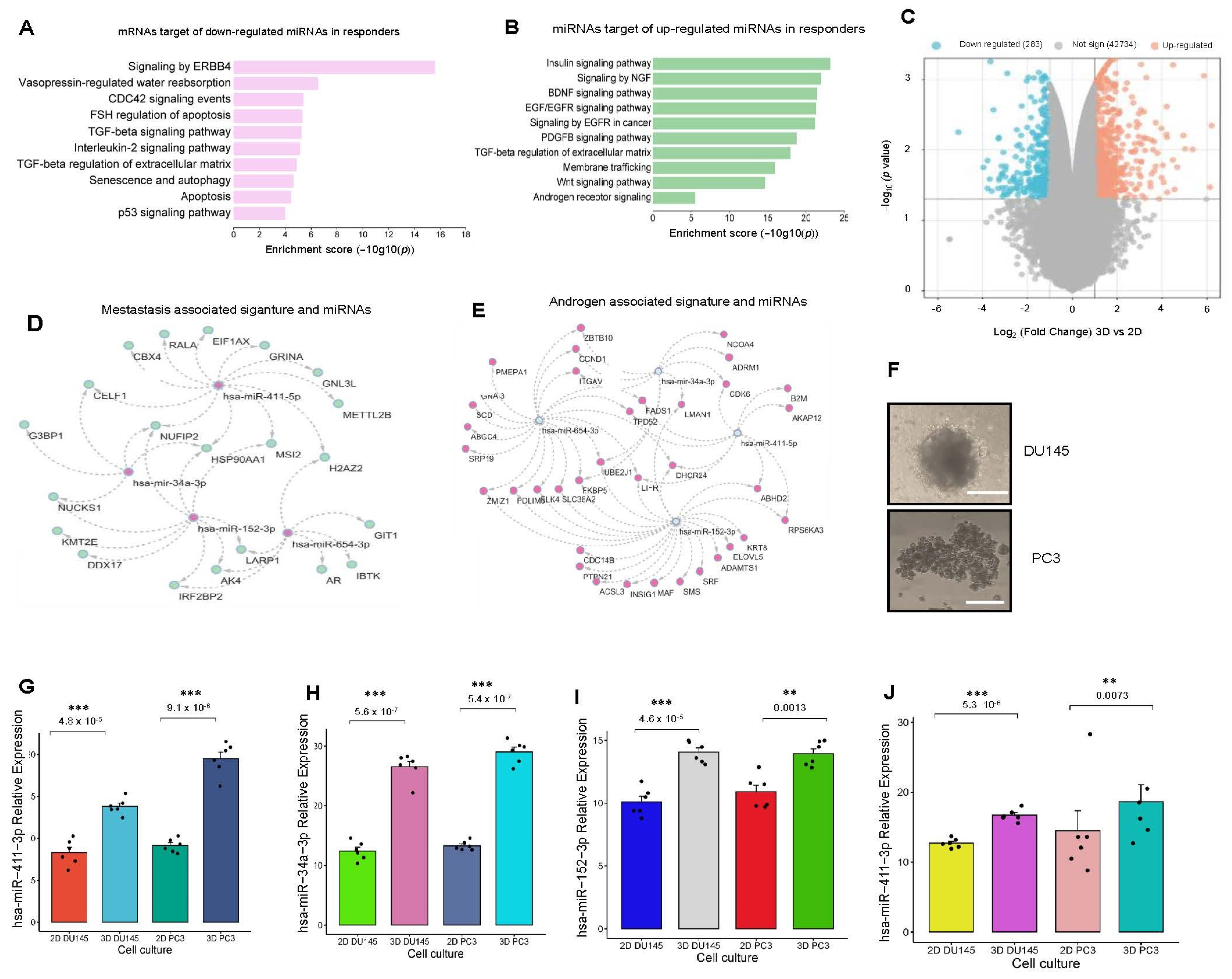 Genes 16 00180 g003