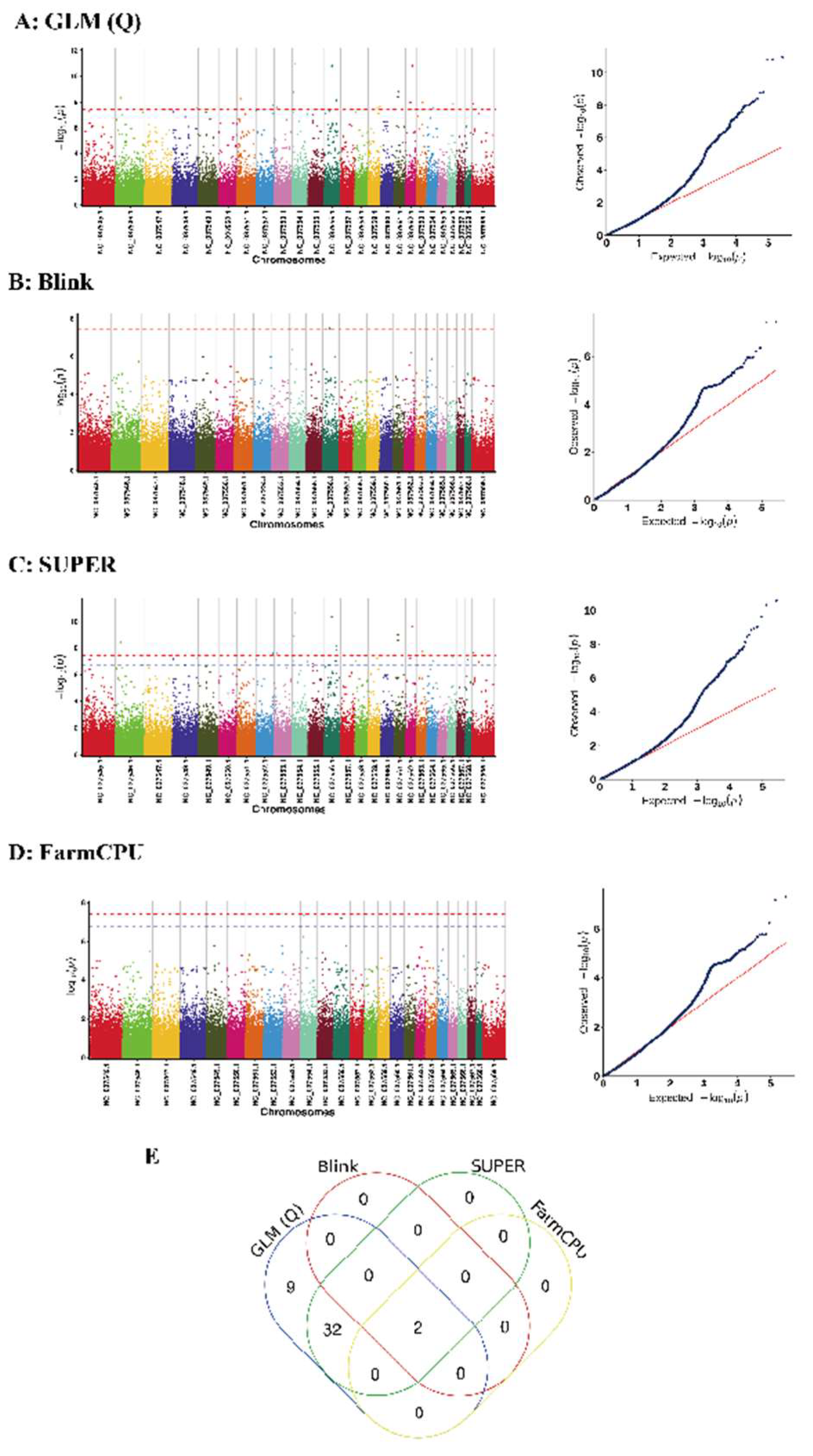 GRM1 as a Candidate Gene for Buffalo Fertility: Insights