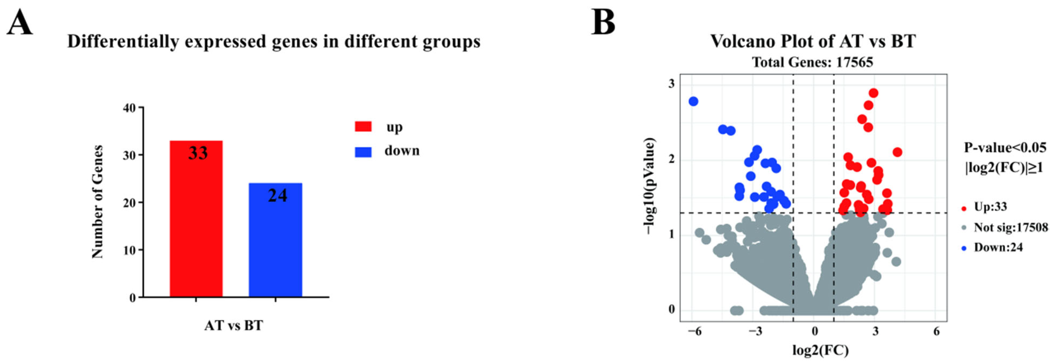Genes 16 00197 g001