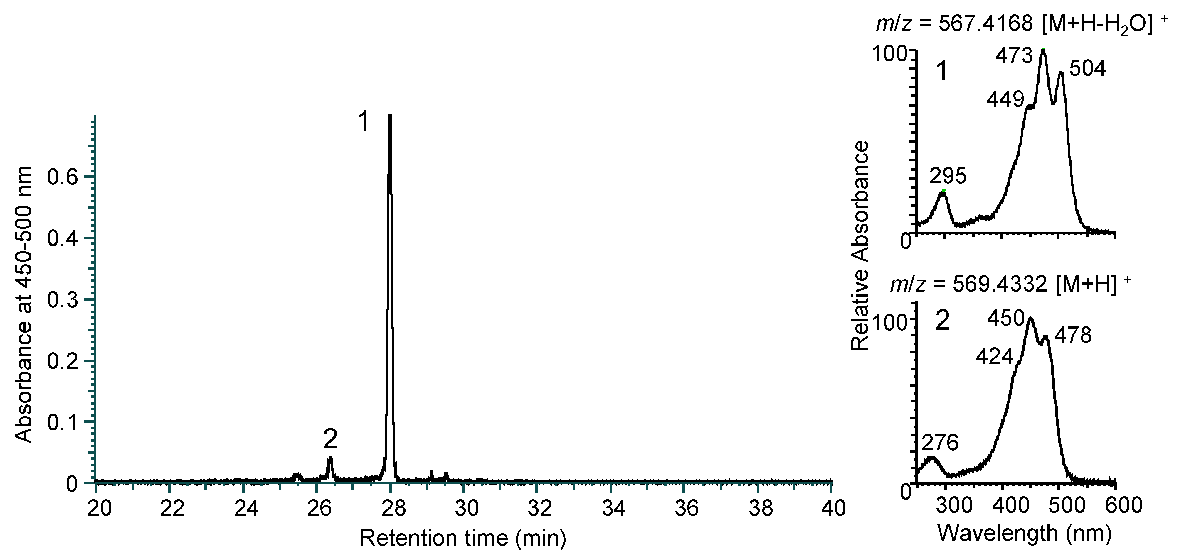 Genes 16 00202 g002 Genes 16 00202 g002
