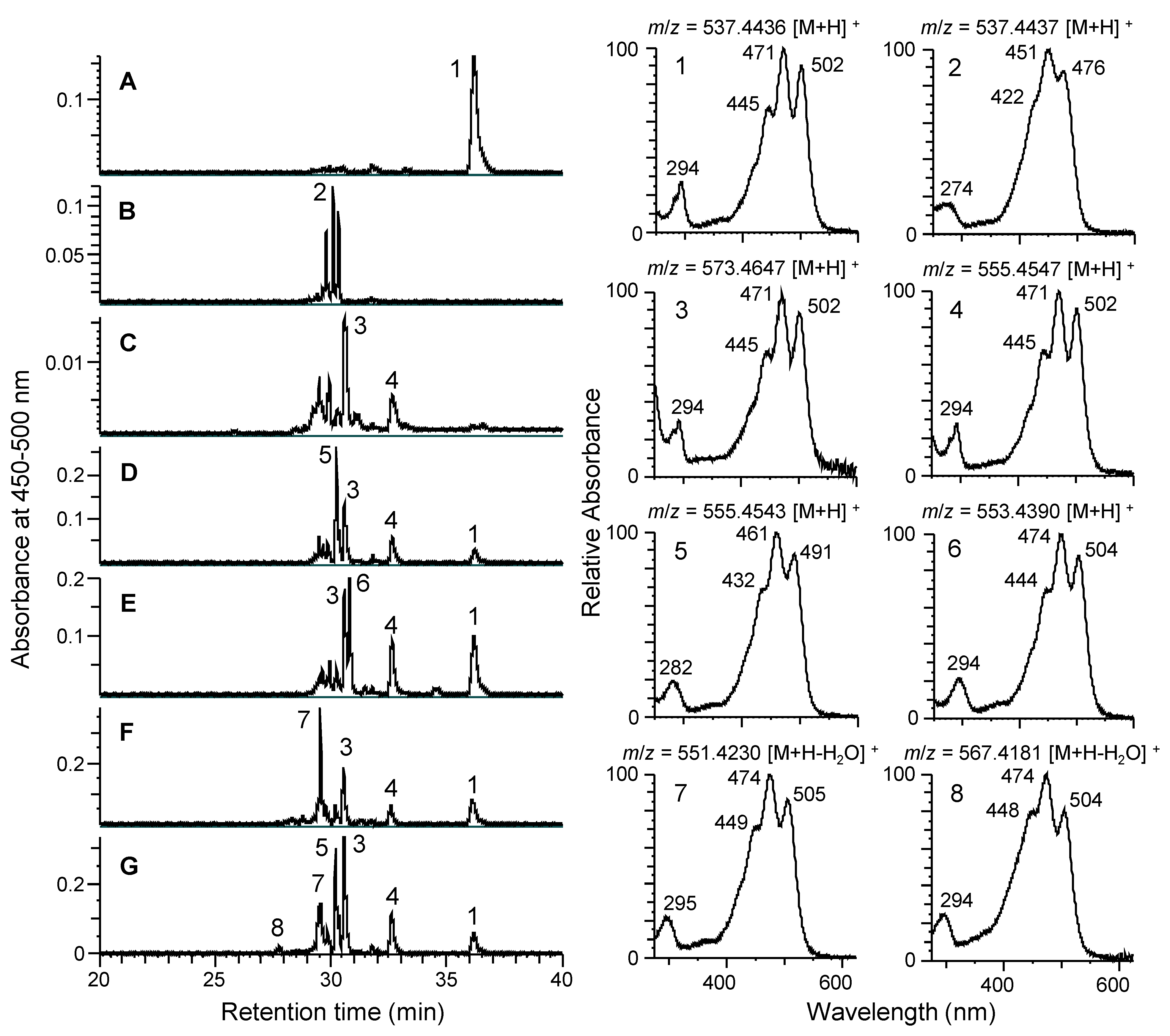 Genes 16 00202 g003 Genes 16 00202 g003