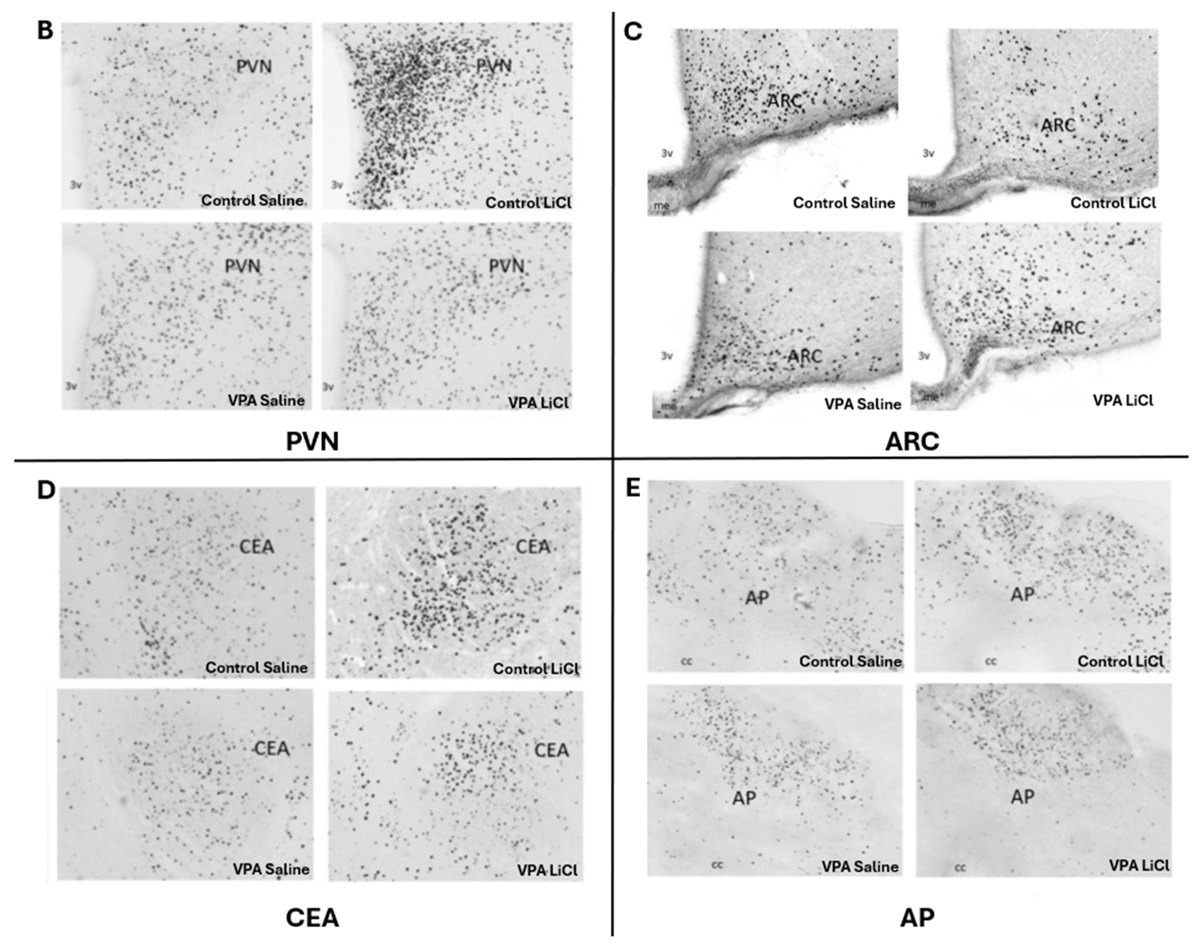 Genes 16 00203 g003b