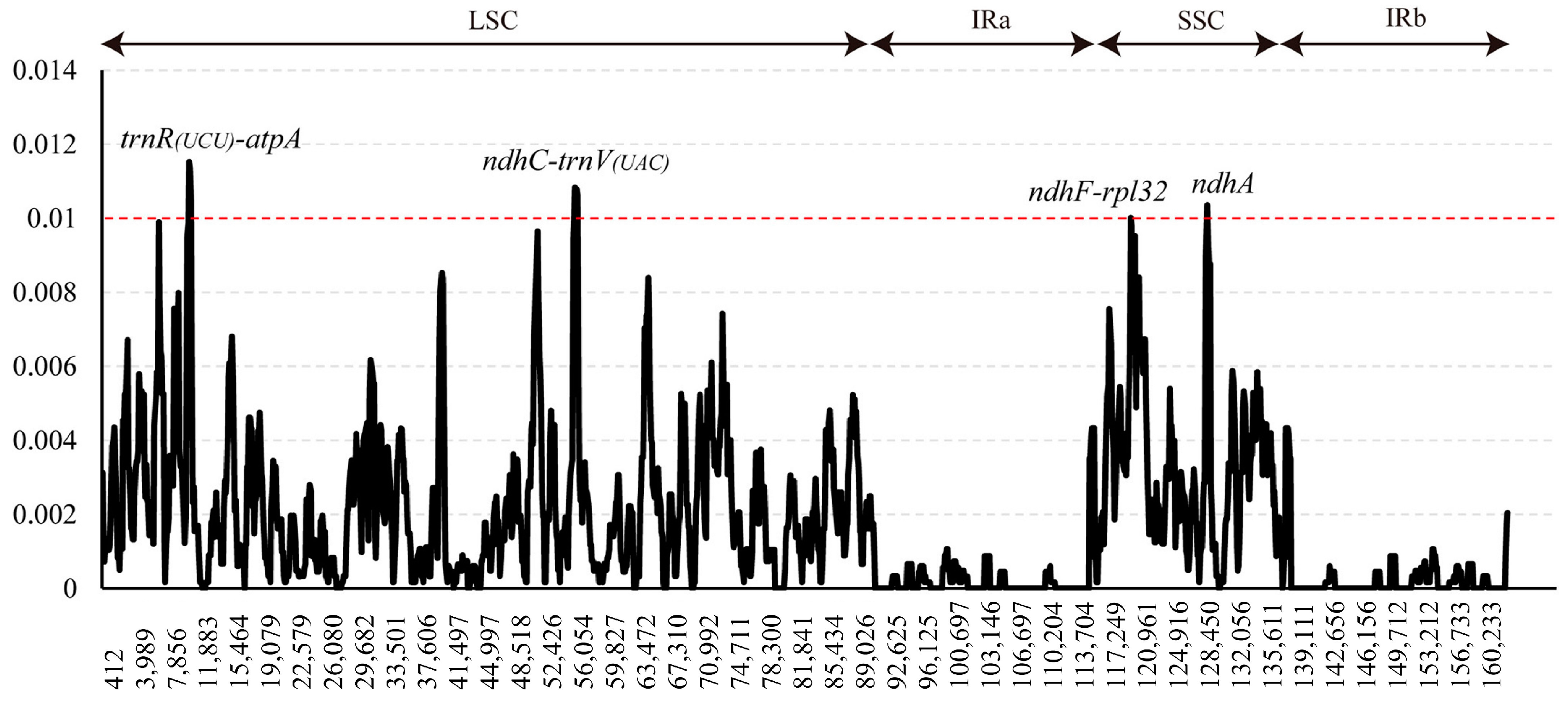 Genes 16 00204 g002 Genes 16 00204 g002