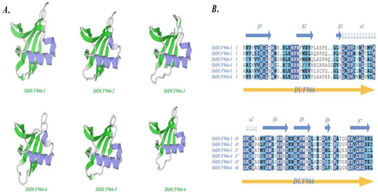 Identification of the SbDUF966 Gene Family in Sorghum and Investigation ...