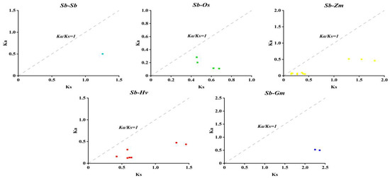 Identification of the SbDUF966 Gene Family in Sorghum and Investigation ...
