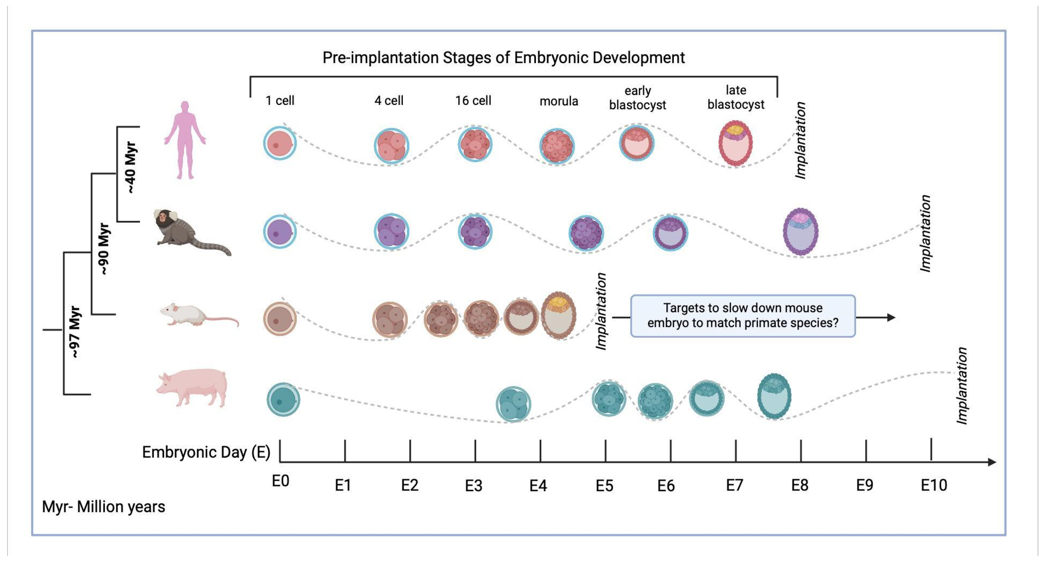 Genes 16 00215 g002