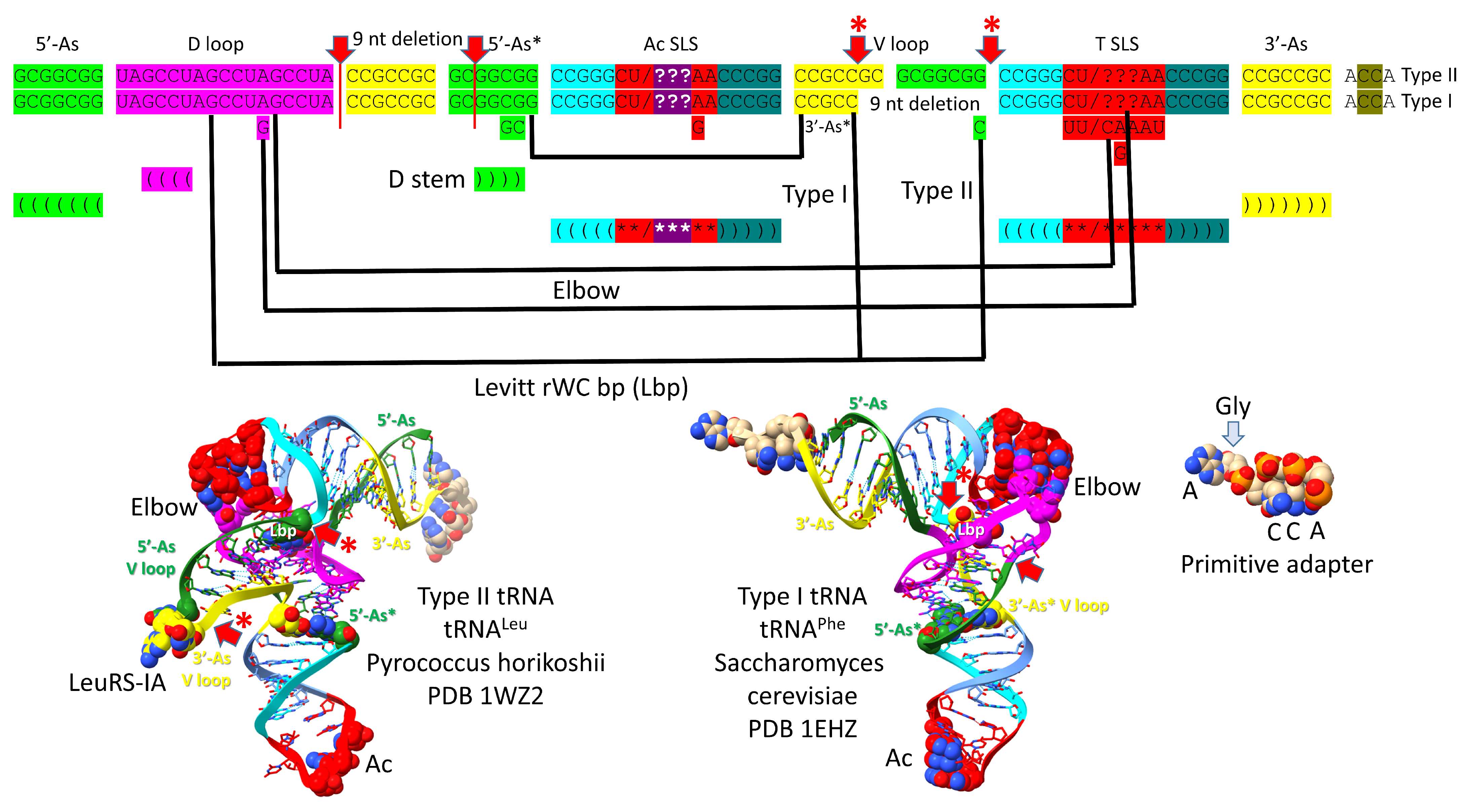 Genes 16 00220 g002