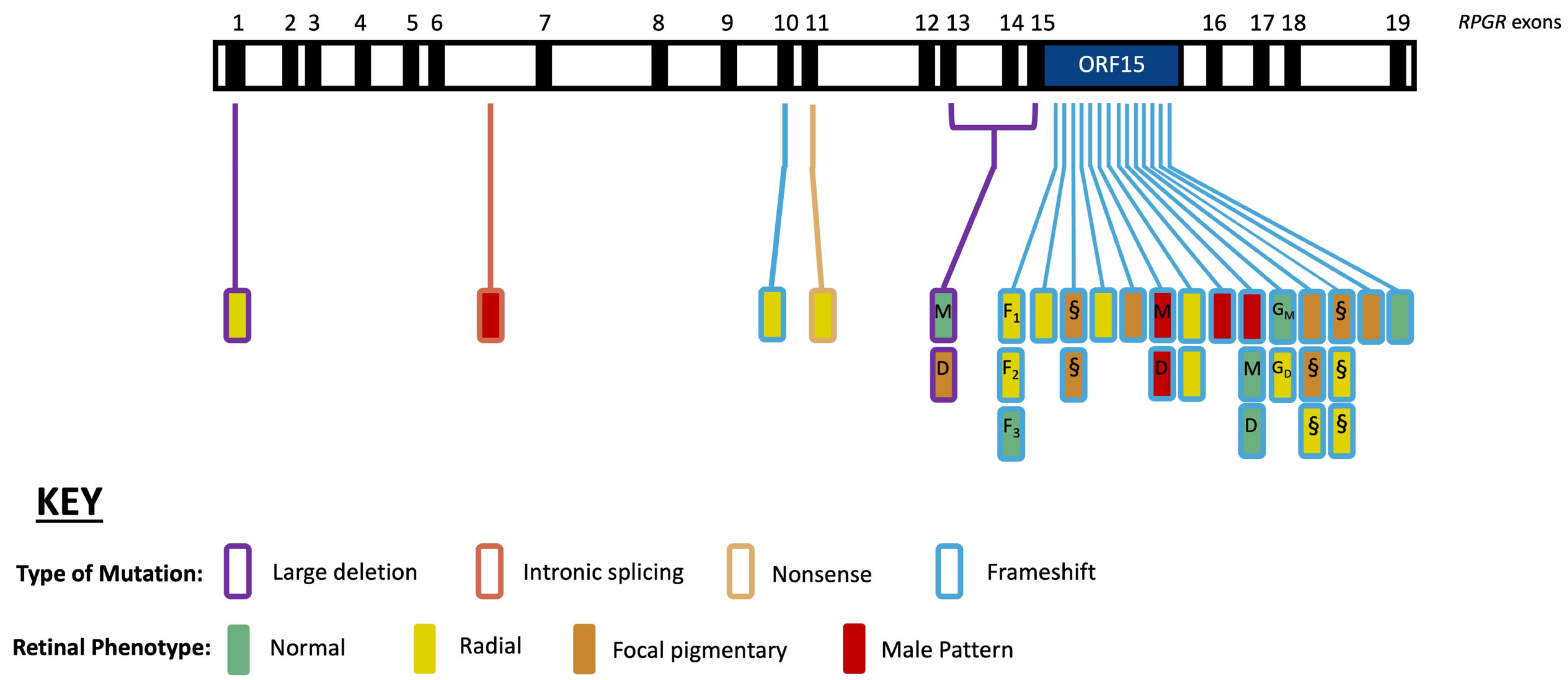 Genes 16 00221 g006