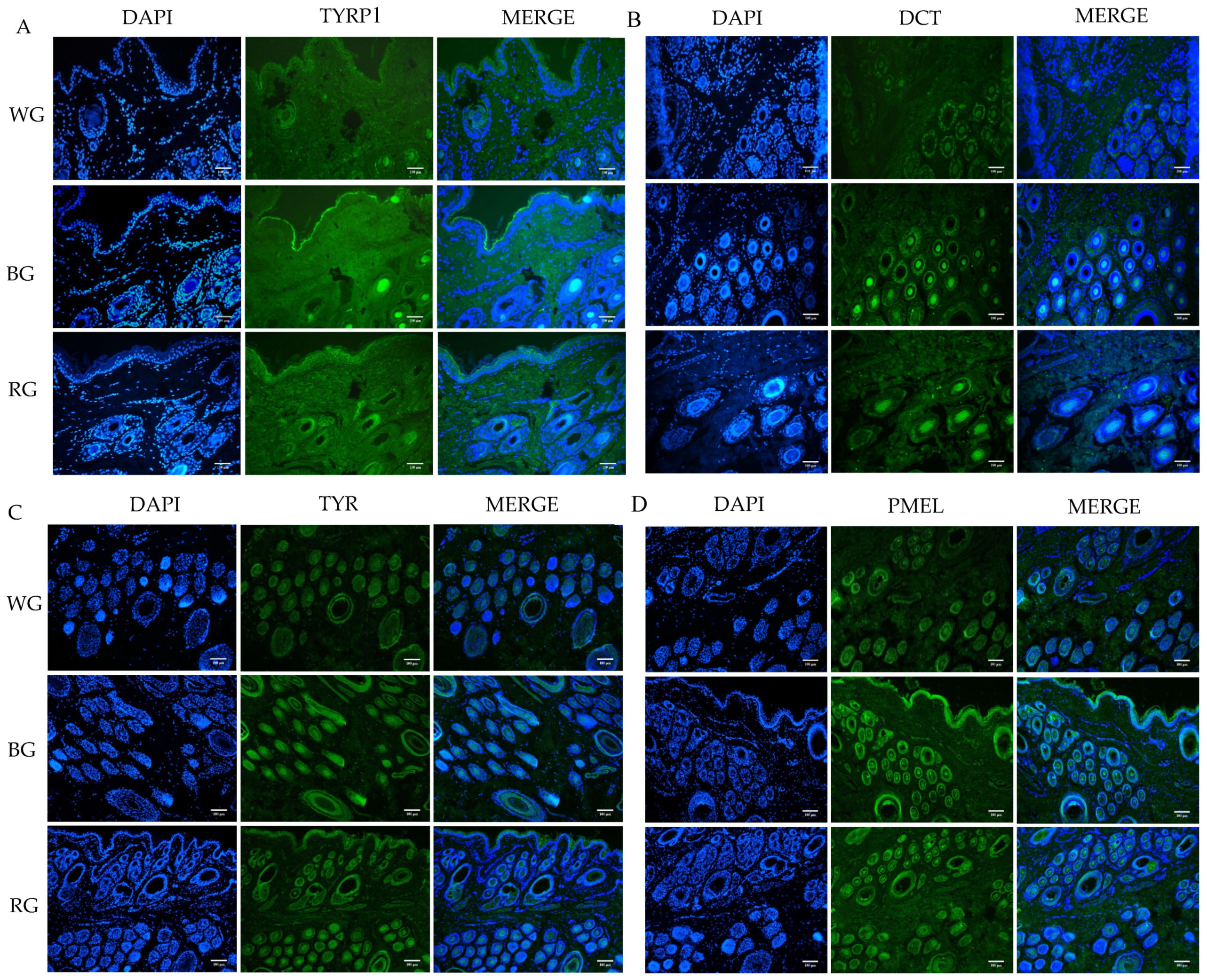 Genes 16 00222 g007a