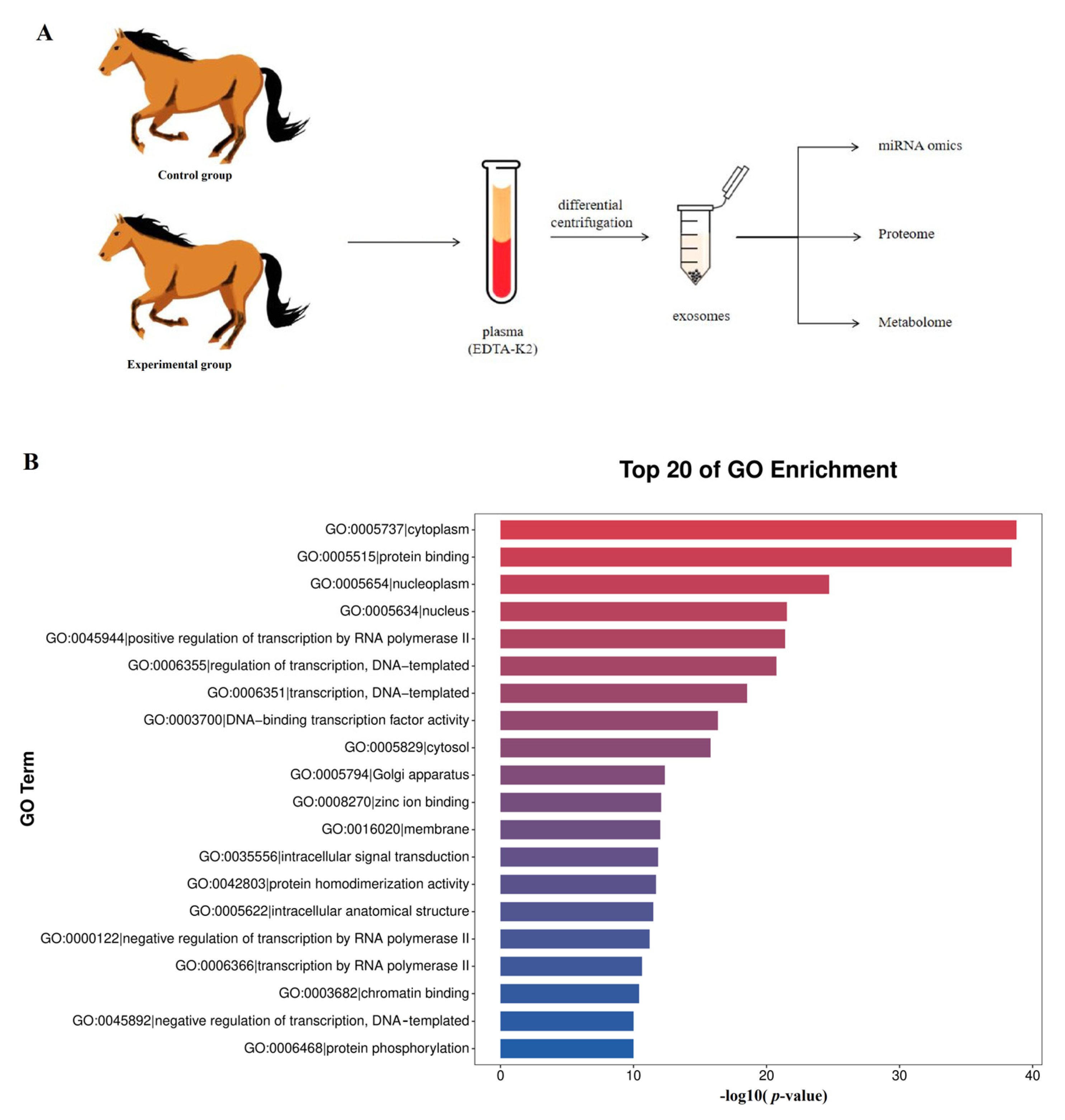 Genes 16 00224 g001 Genes 16 00224 g001