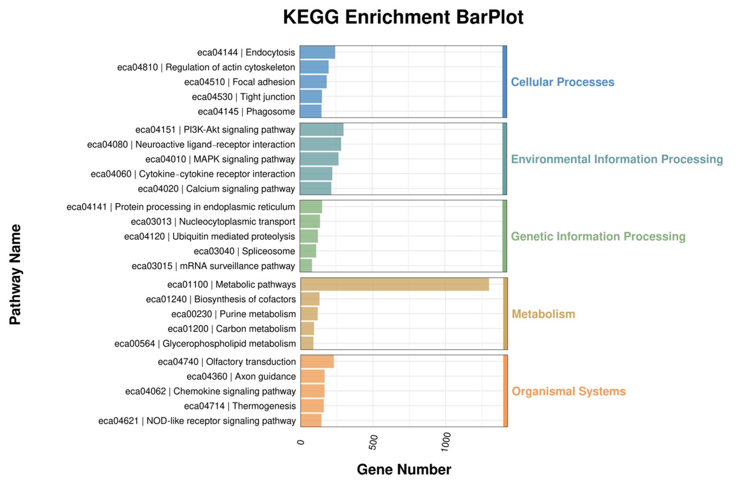 Genes 16 00224 g002 Genes 16 00224 g002