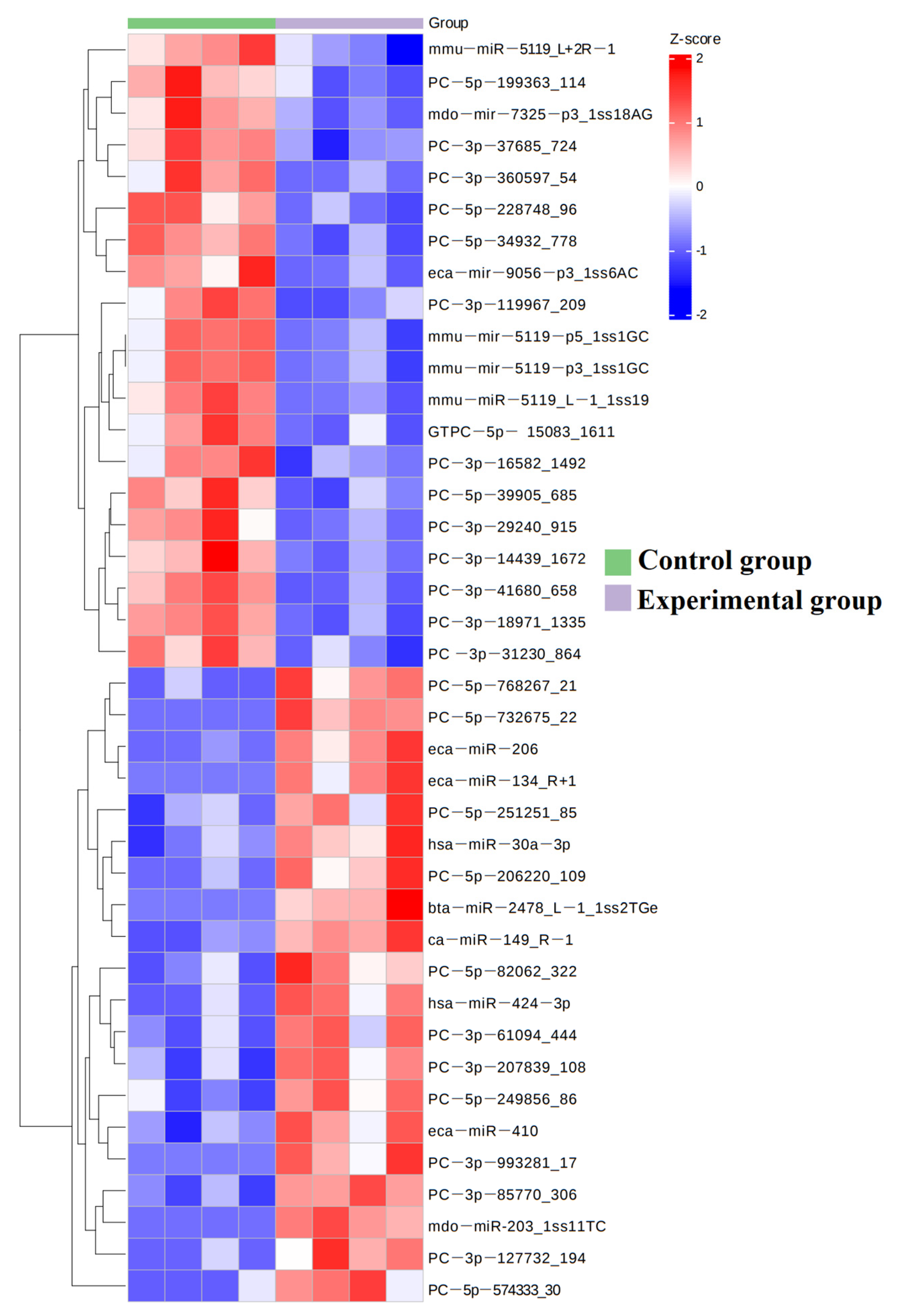 Genes 16 00224 g003 Genes 16 00224 g003