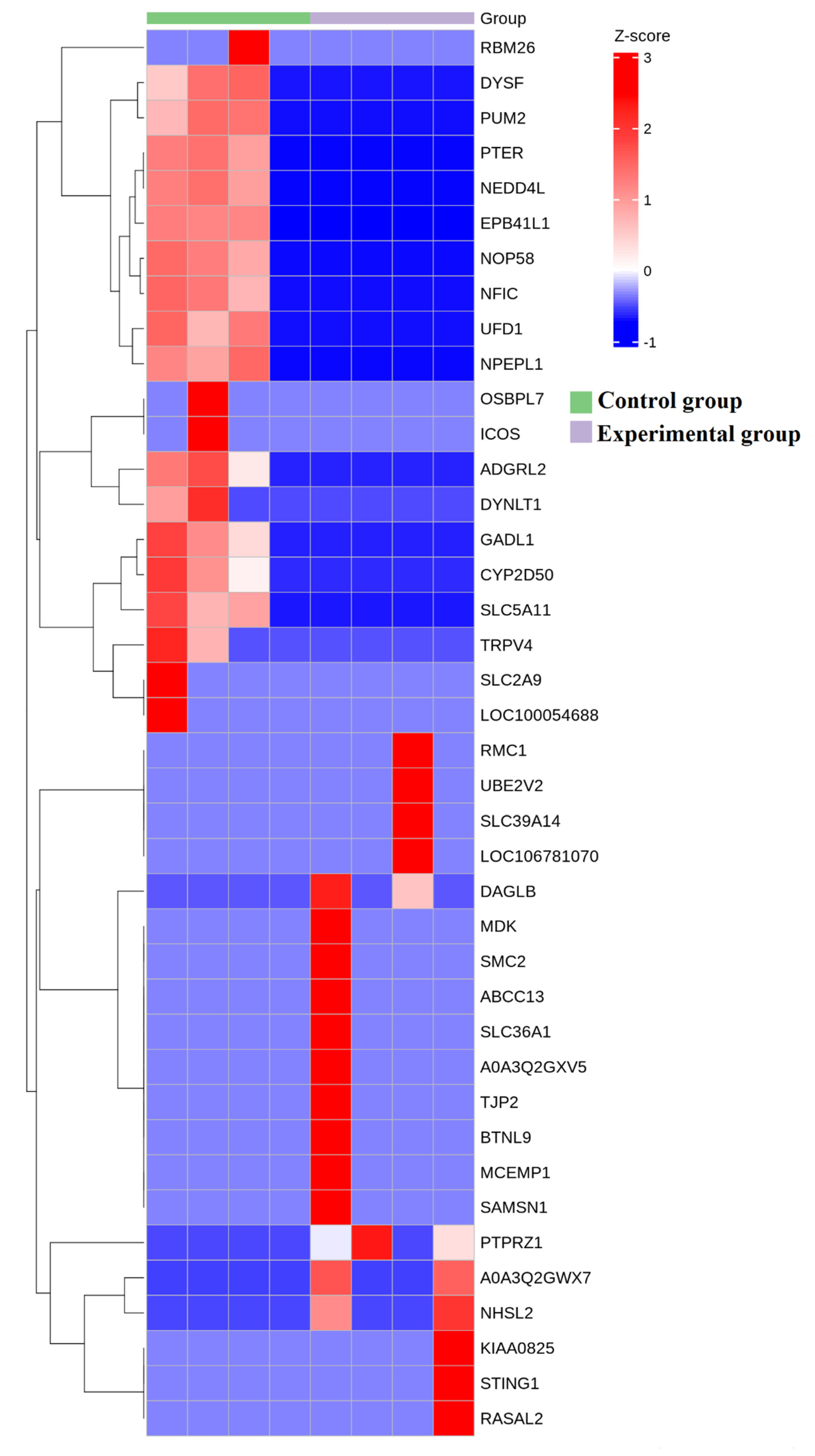 Genes 16 00224 g006 Genes 16 00224 g006