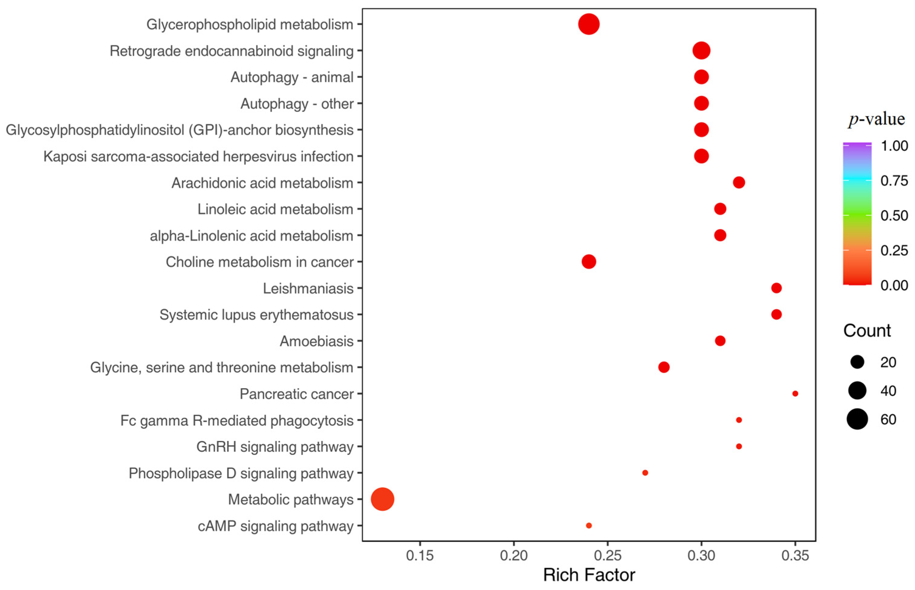 Genes 16 00224 g008 Genes 16 00224 g008