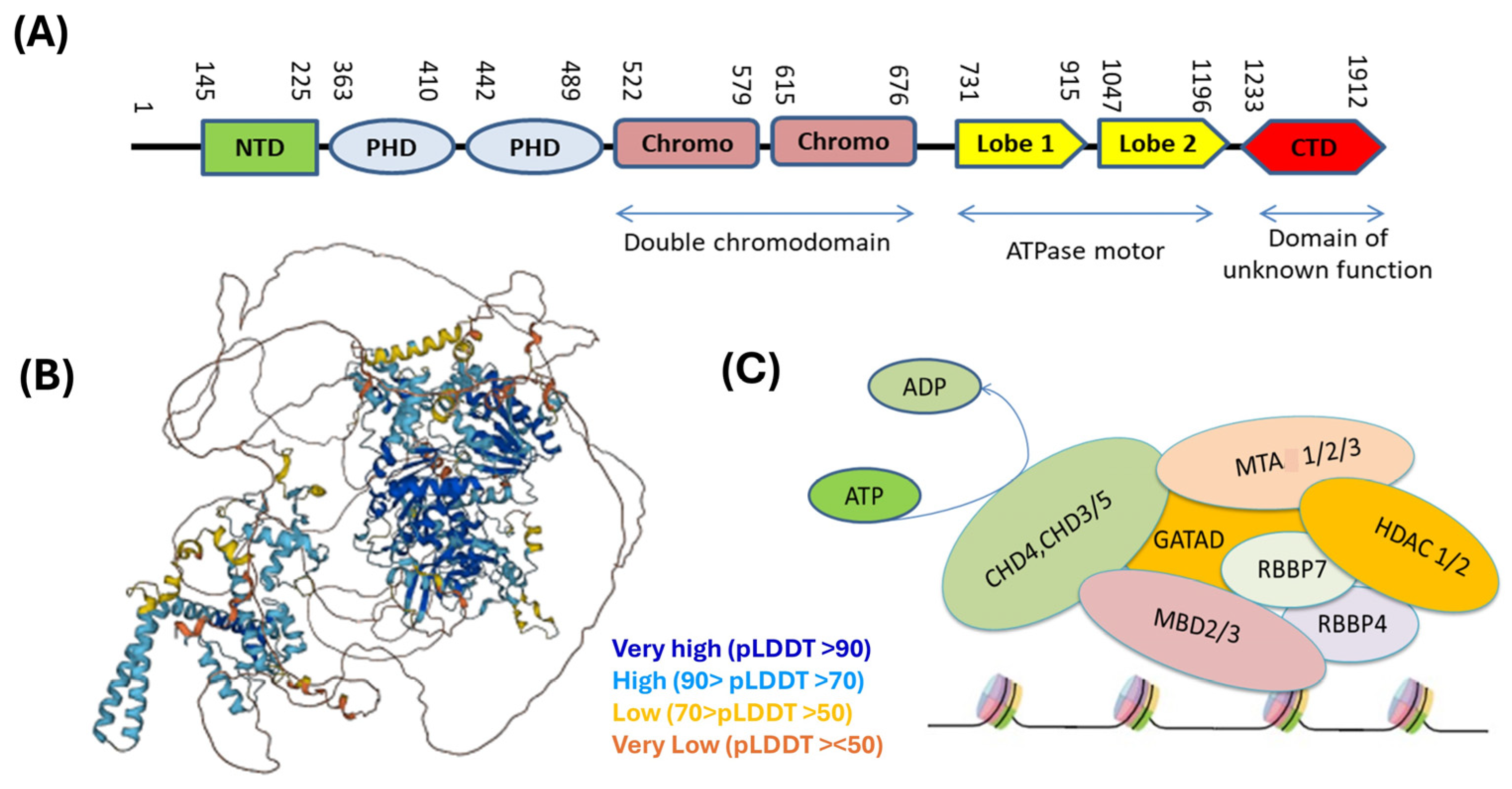 Genes 16 00225 g001