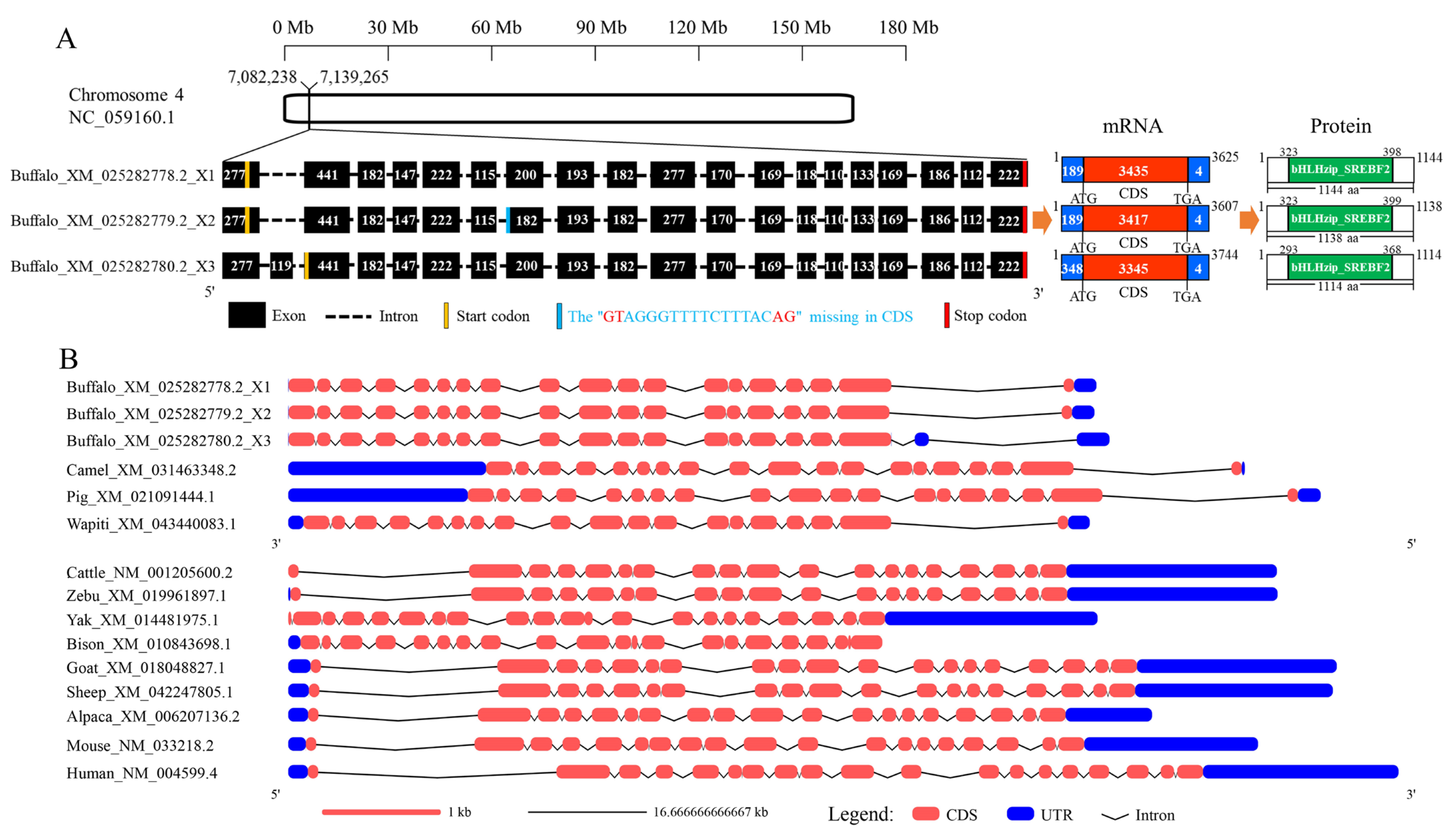 Genes 16 00237 g001 Genes 16 00237 g001