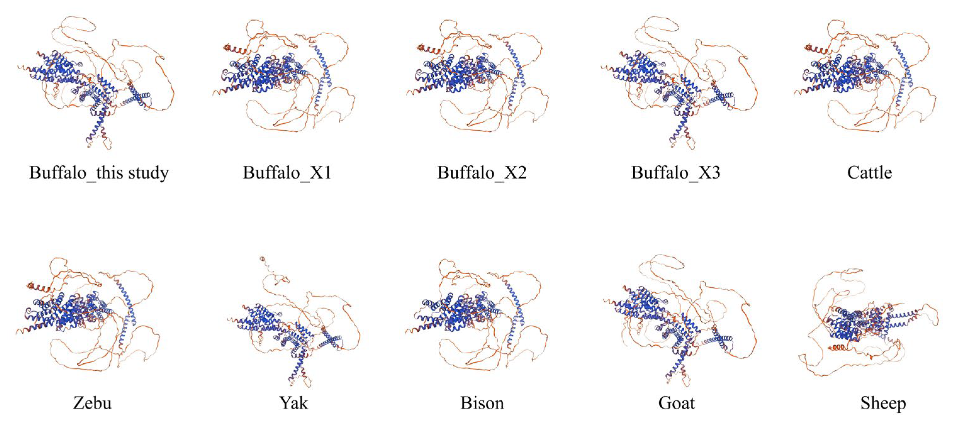 Genes 16 00237 g002 Genes 16 00237 g002
