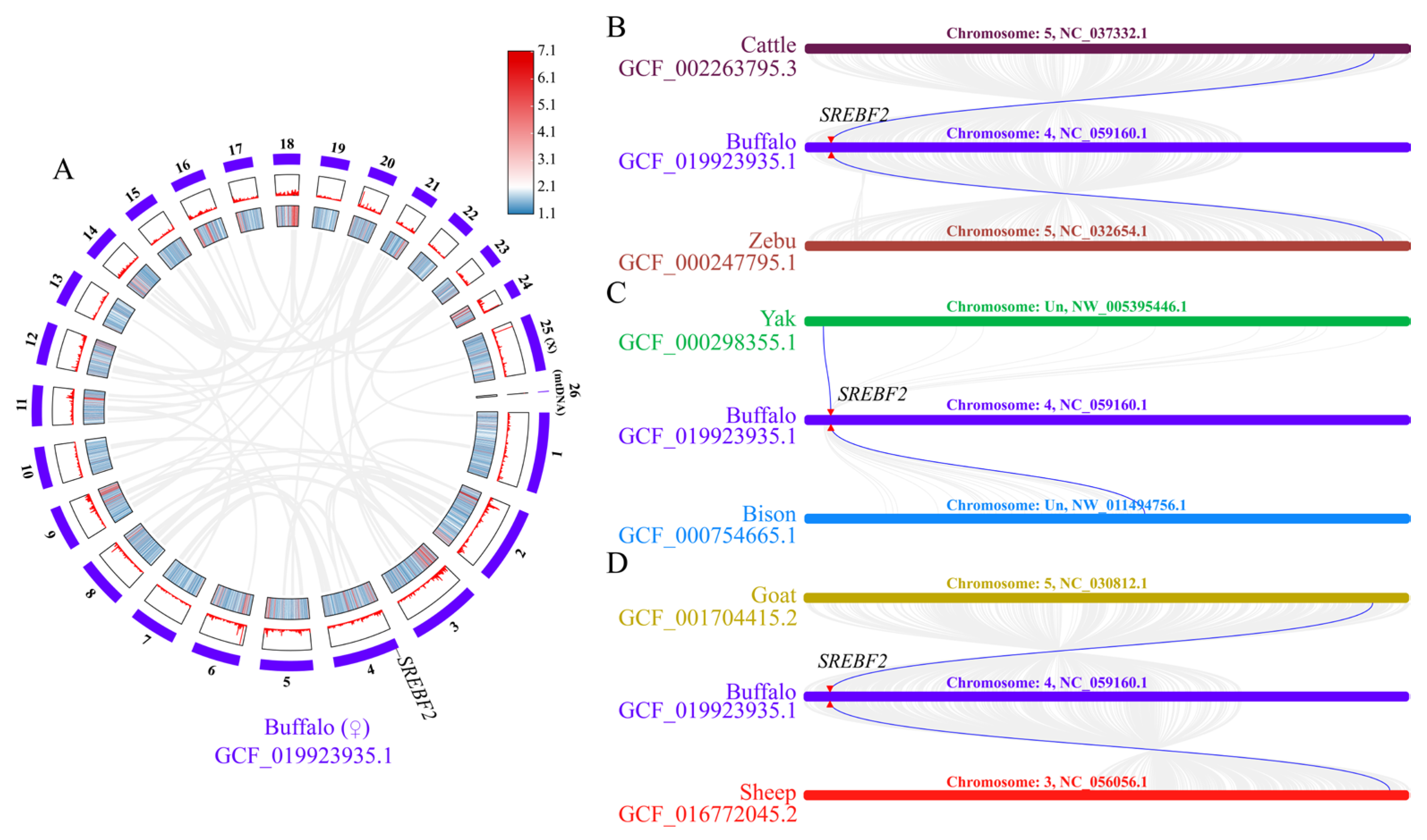 Genes 16 00237 g003 Genes 16 00237 g003