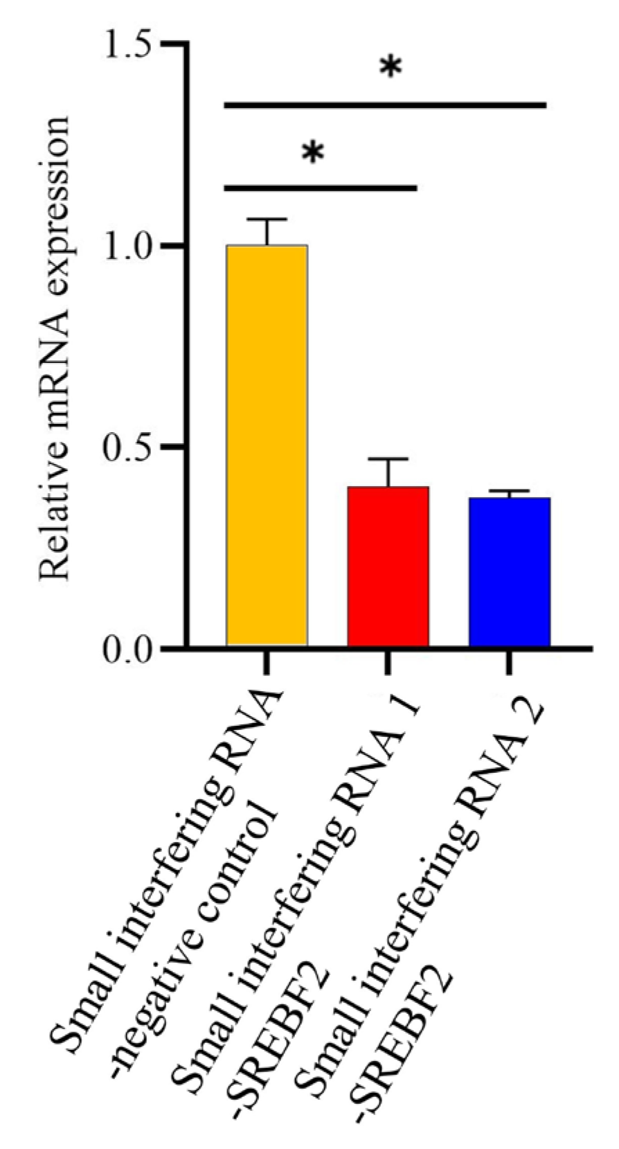 Genes 16 00237 g005 Genes 16 00237 g005