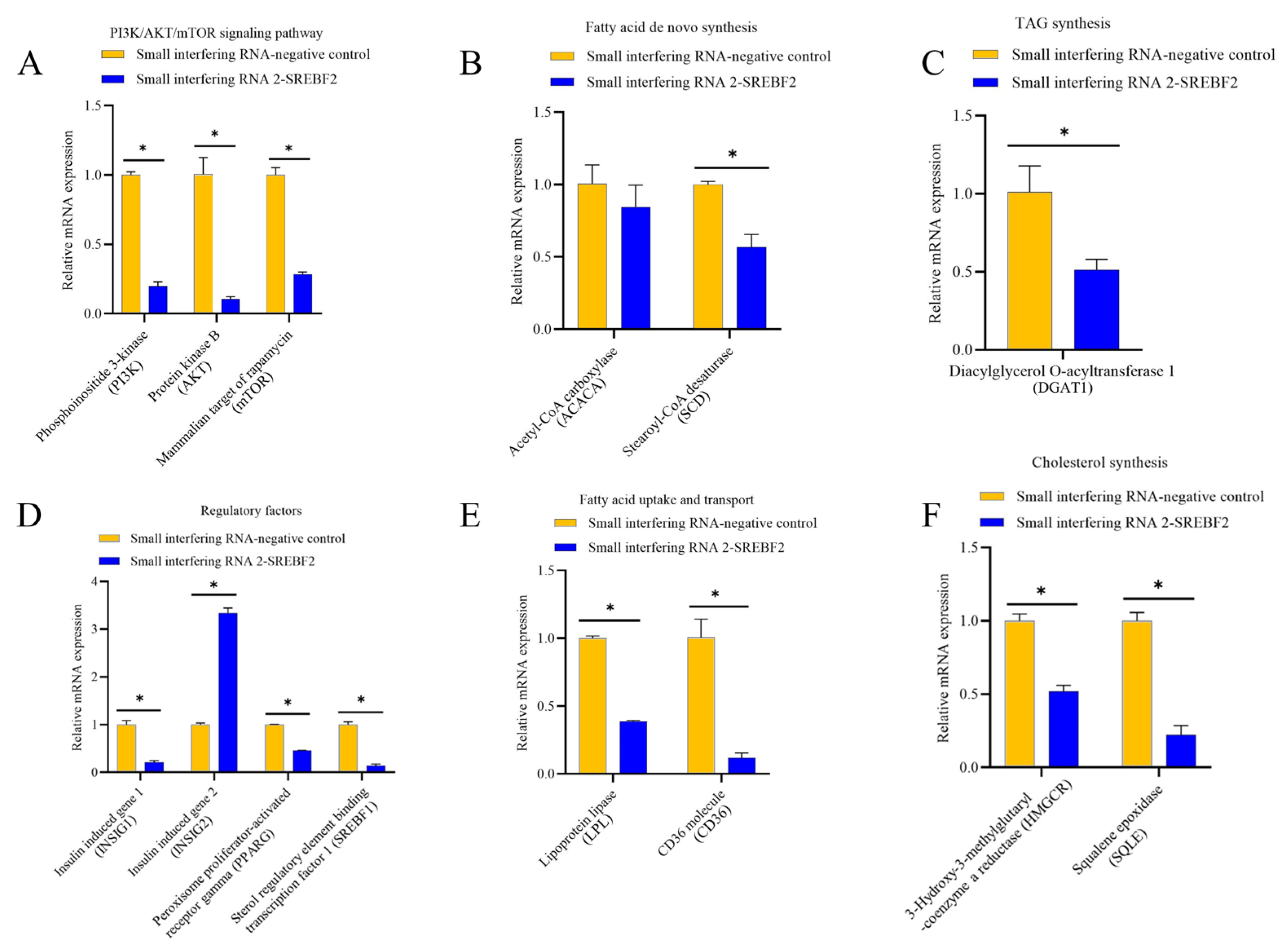 Genes 16 00237 g006 Genes 16 00237 g006