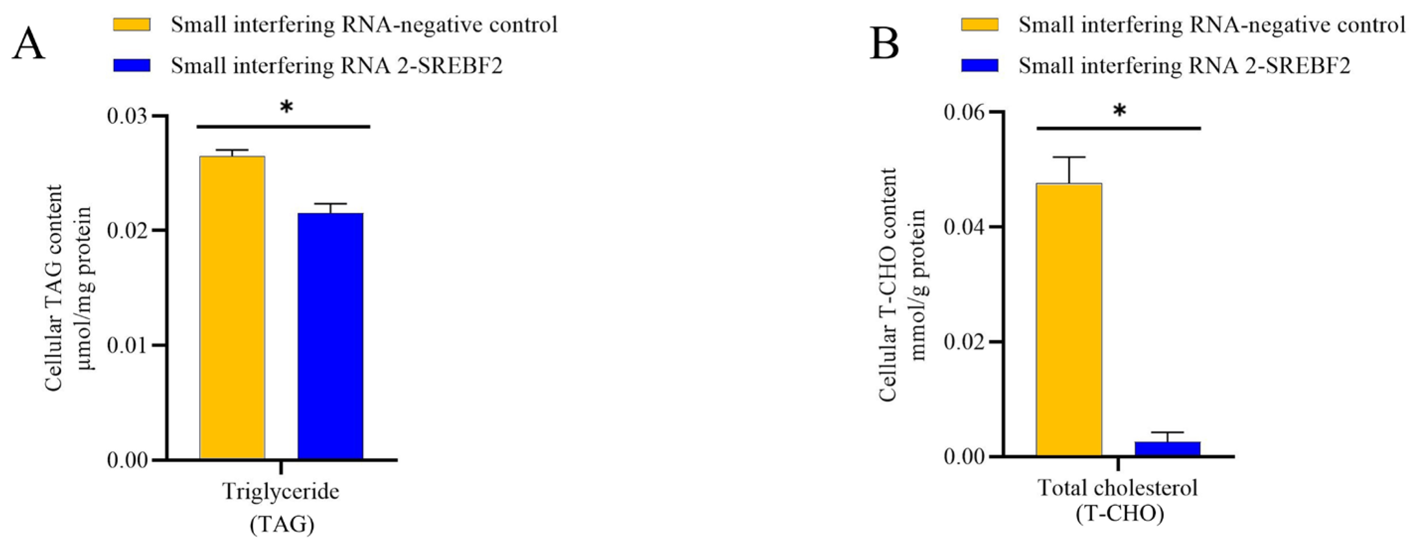 Genes 16 00237 g007 Genes 16 00237 g007