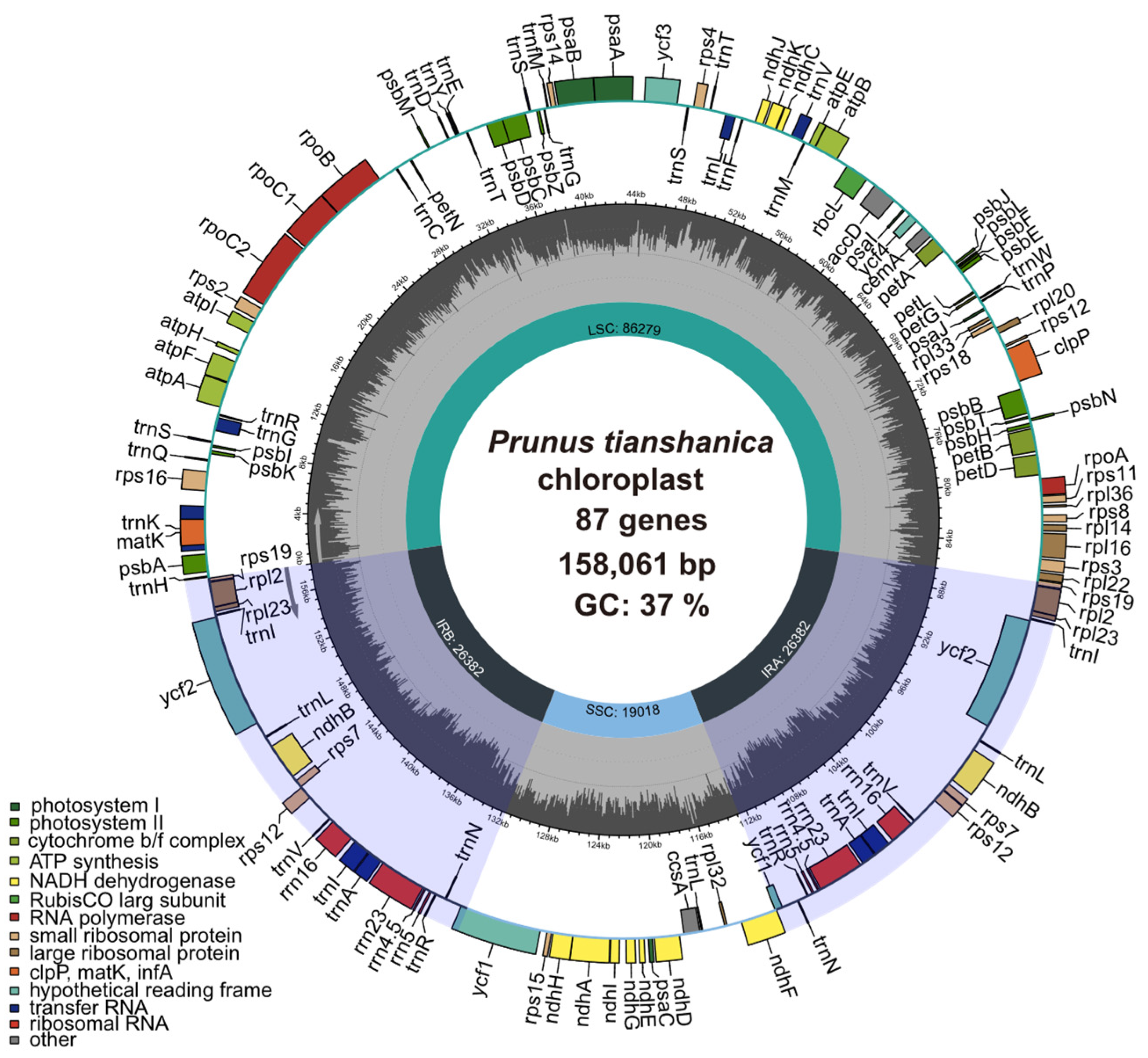 Genes 16 00239 g001a