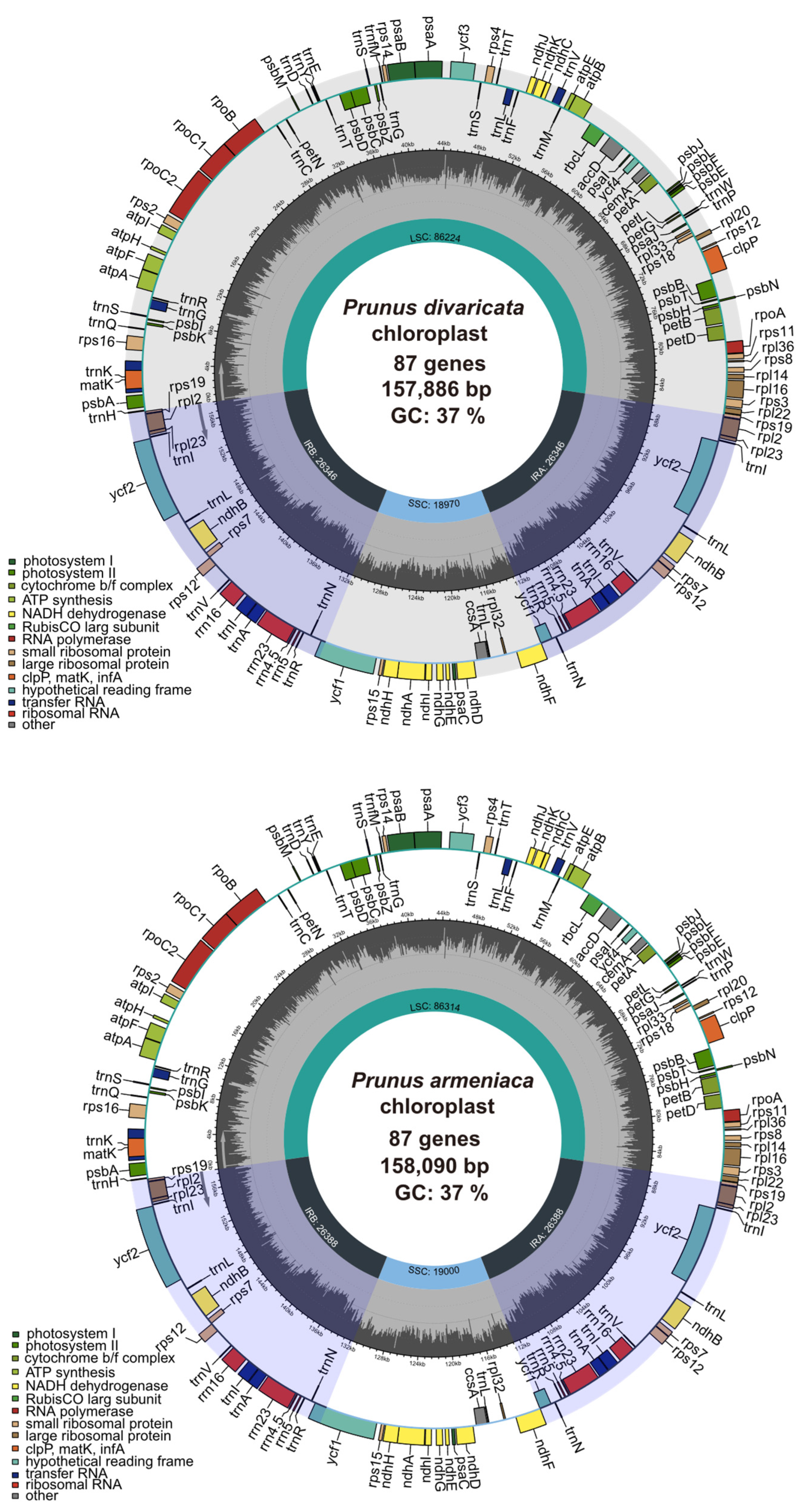 Genes 16 00239 g001b