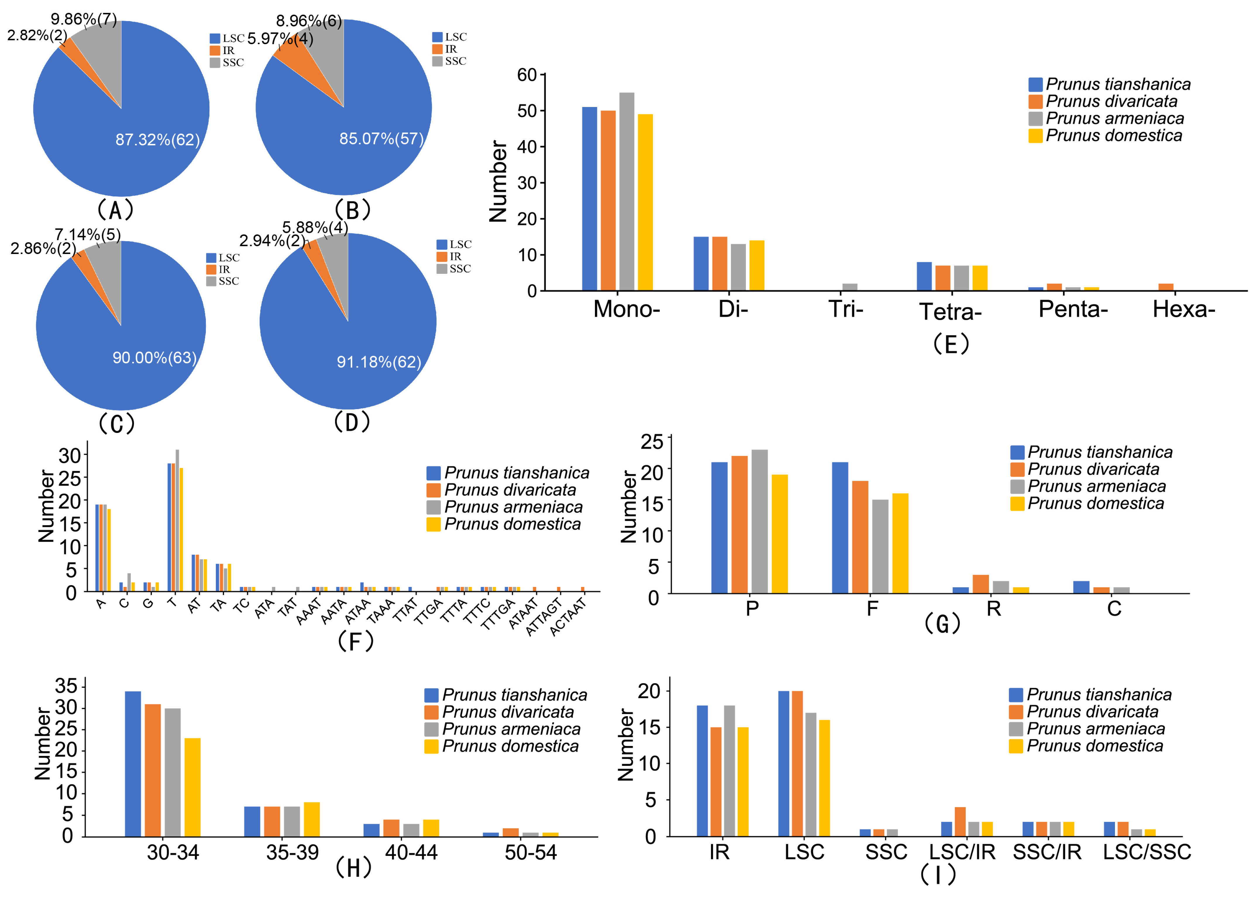 Genes 16 00239 g005