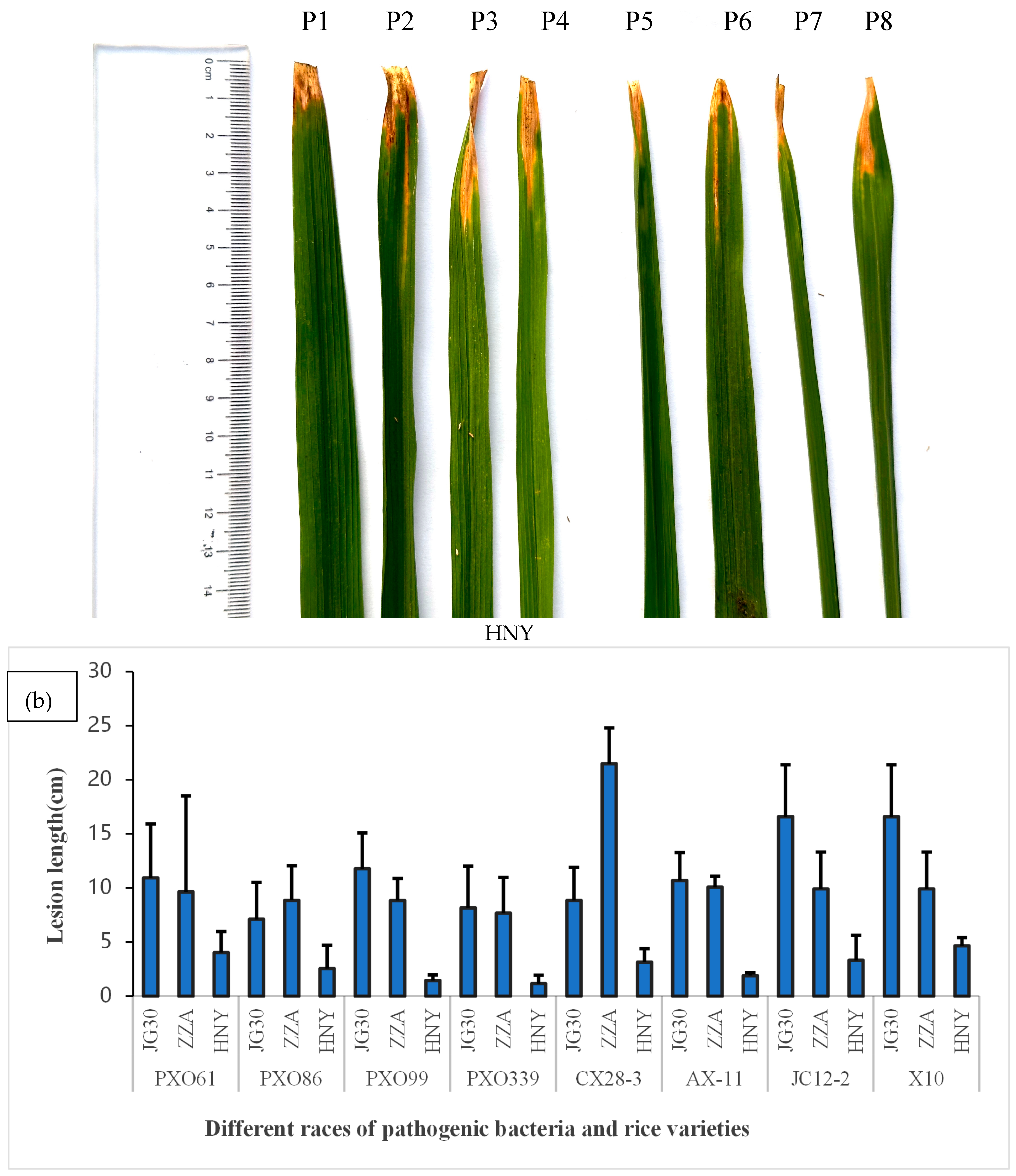 Genes 16 00240 g001b