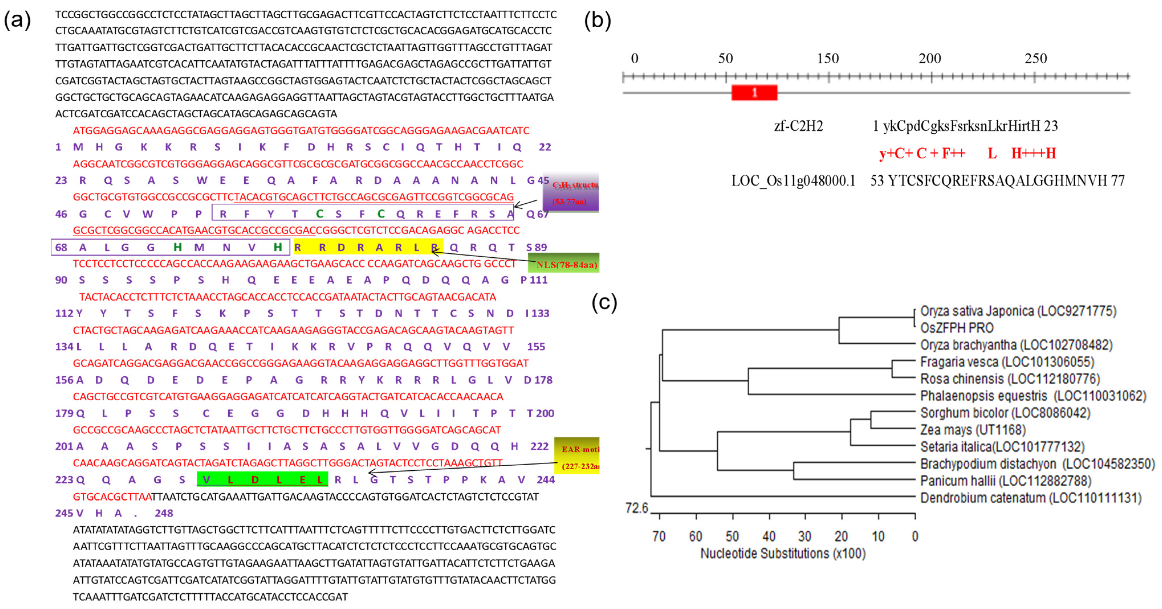 Genes 16 00240 g002
