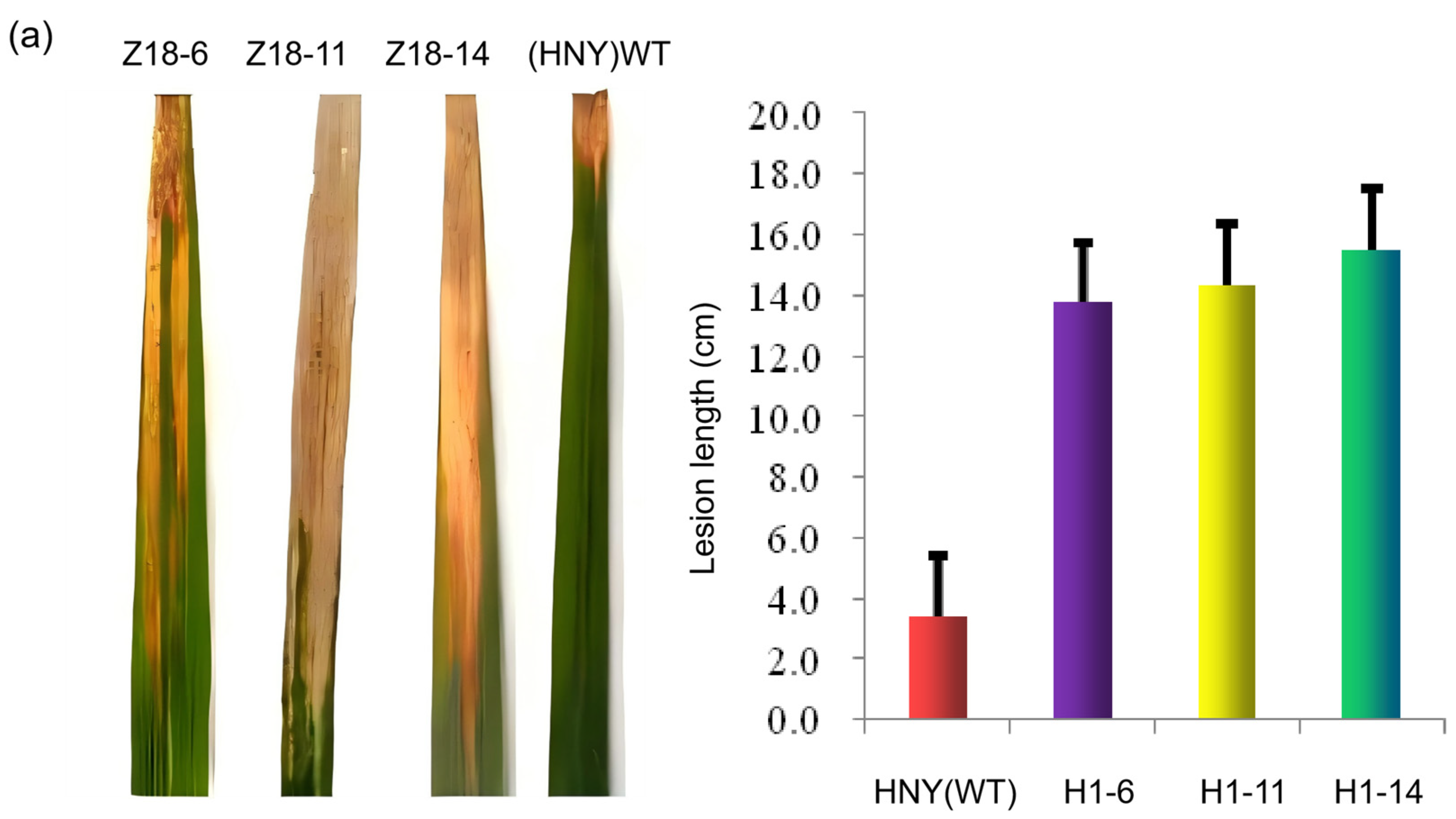 Genes 16 00240 g004a