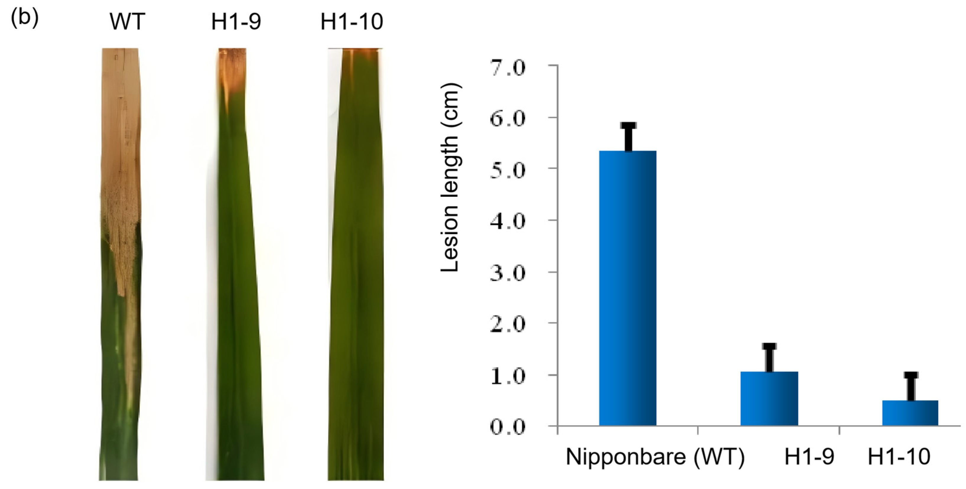 Genes 16 00240 g004b