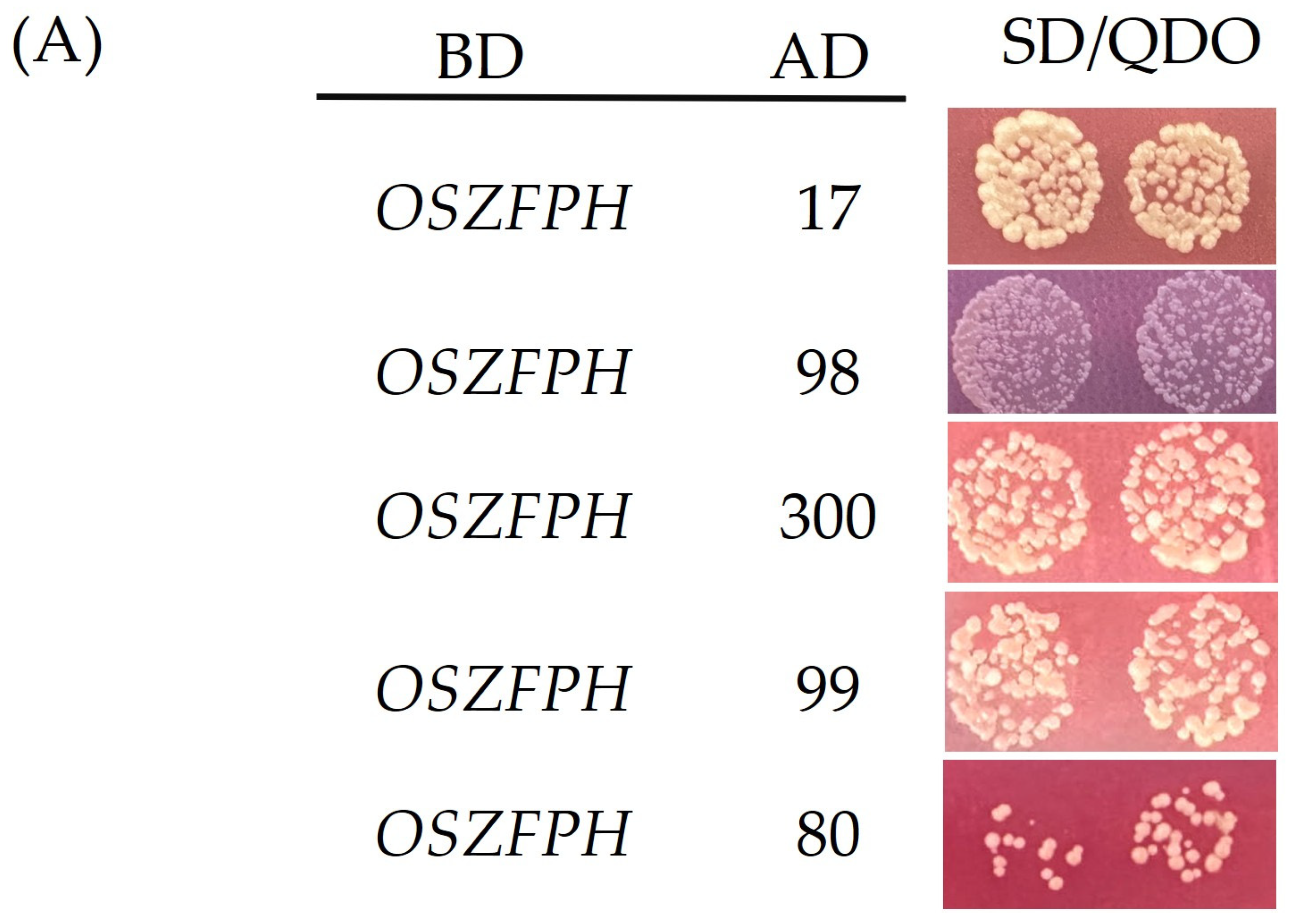 Genes 16 00240 g011a