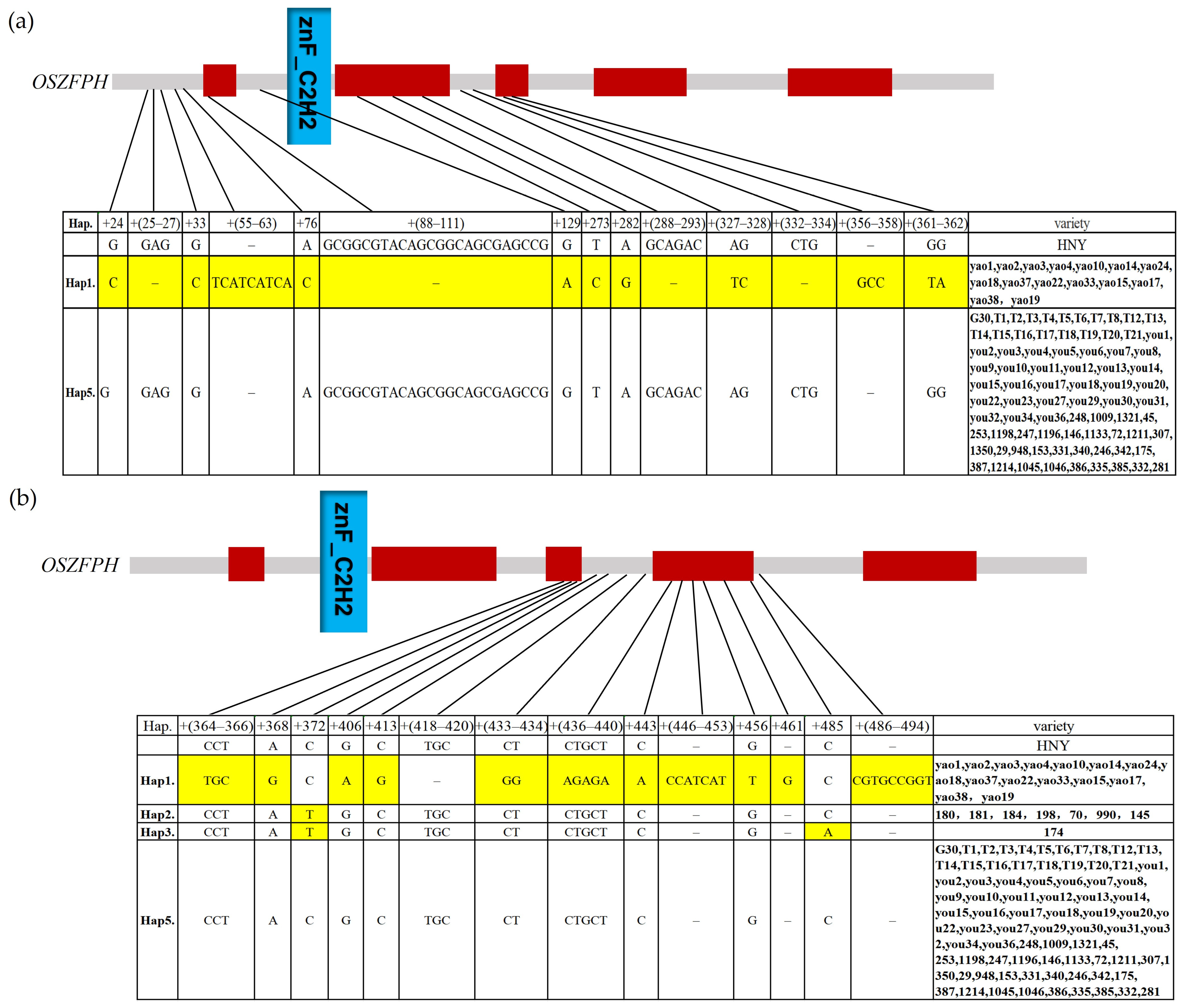 Genes 16 00240 g012a