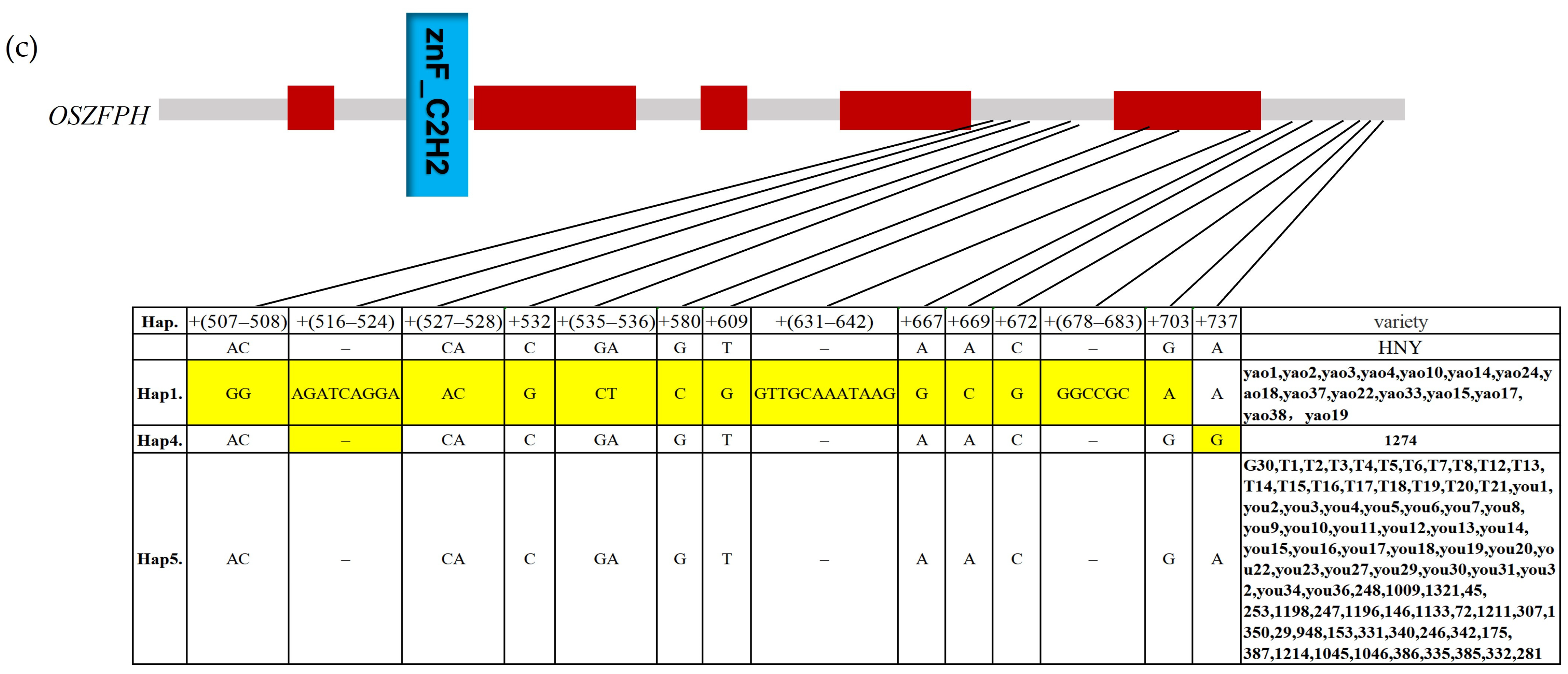 Genes 16 00240 g012b