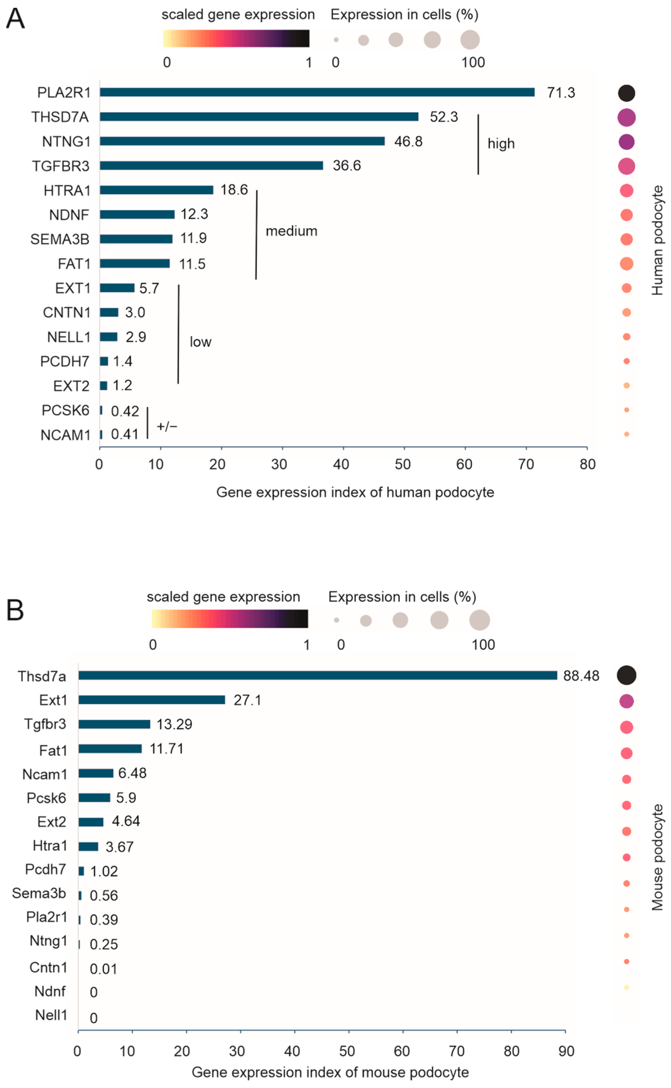 Genes 16 00241 g005