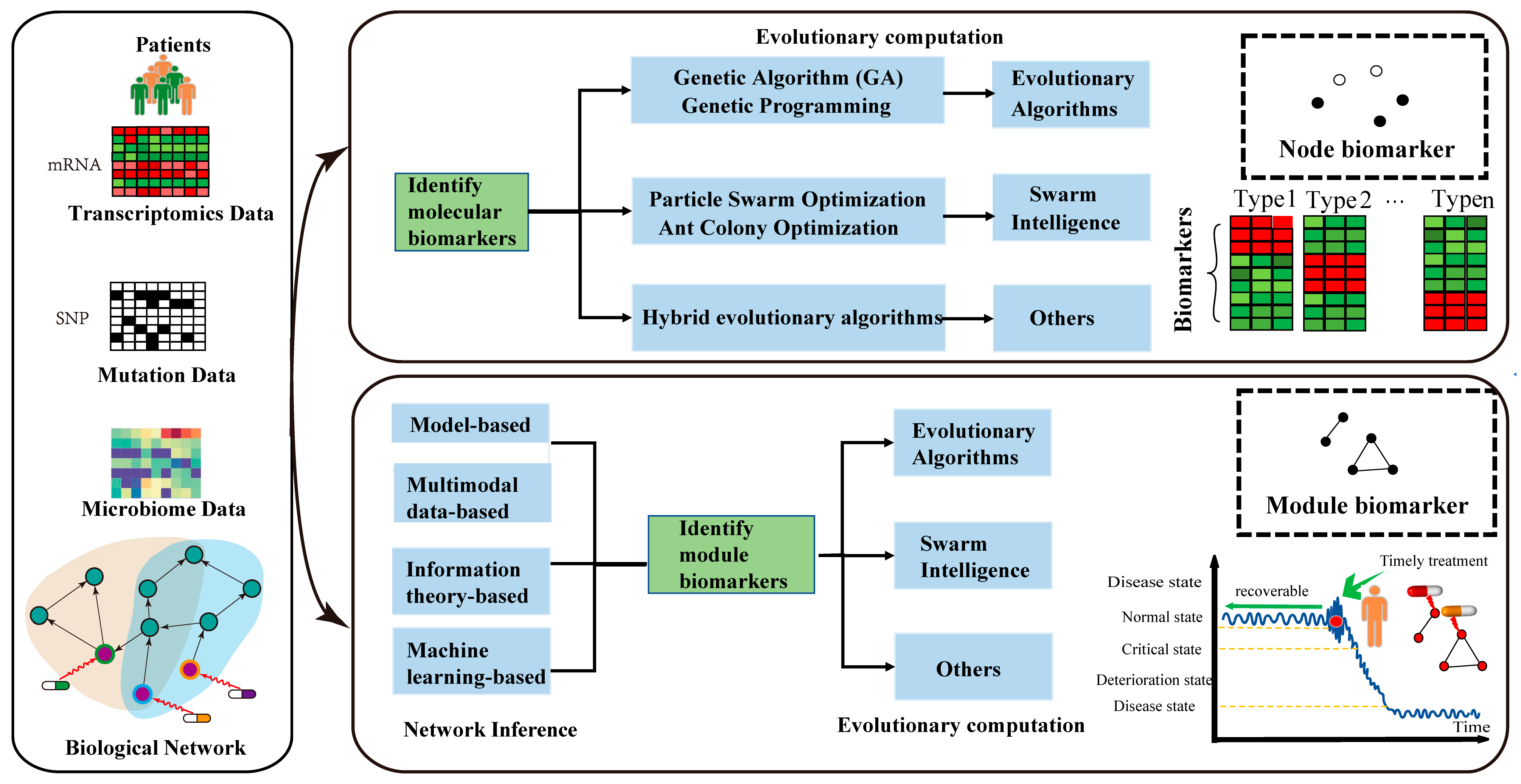 Genes 16 00244 g001 Genes 16 00244 g001